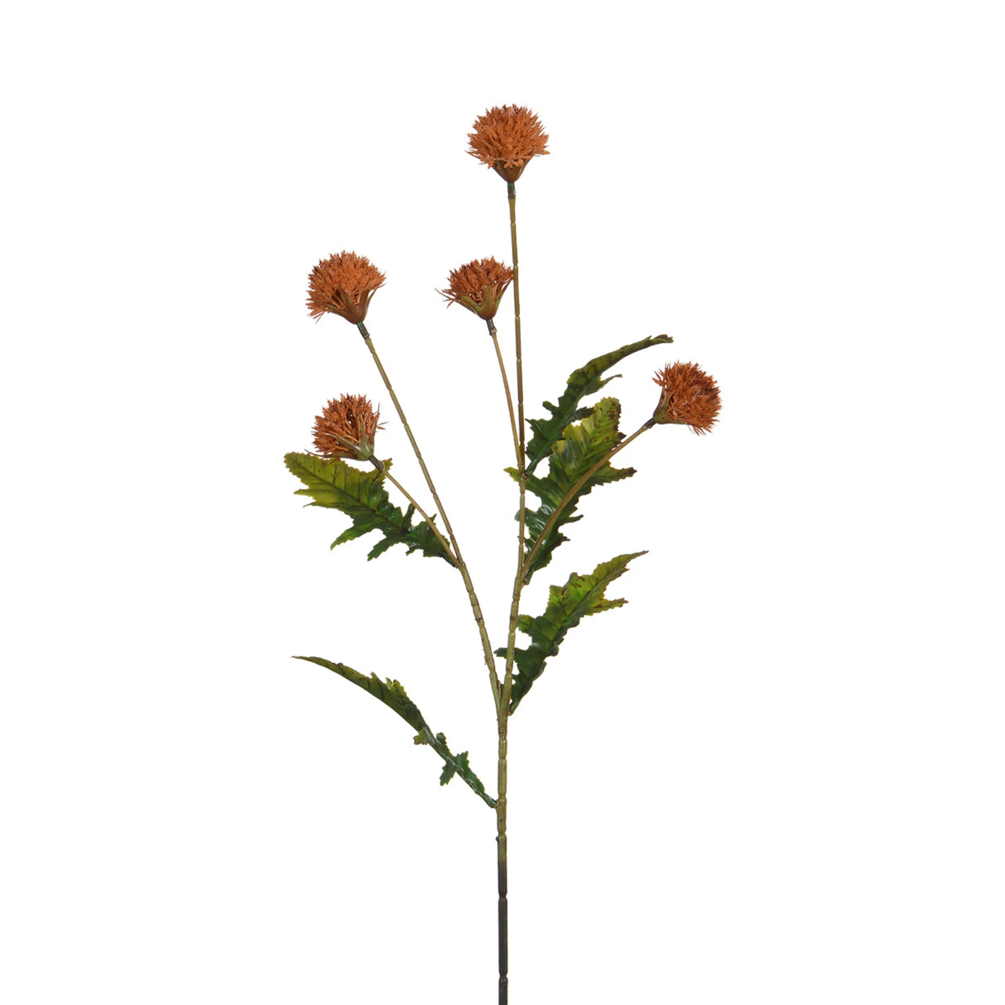 Tige de Chrysanthème Ping Pong 62 cm - Image 12