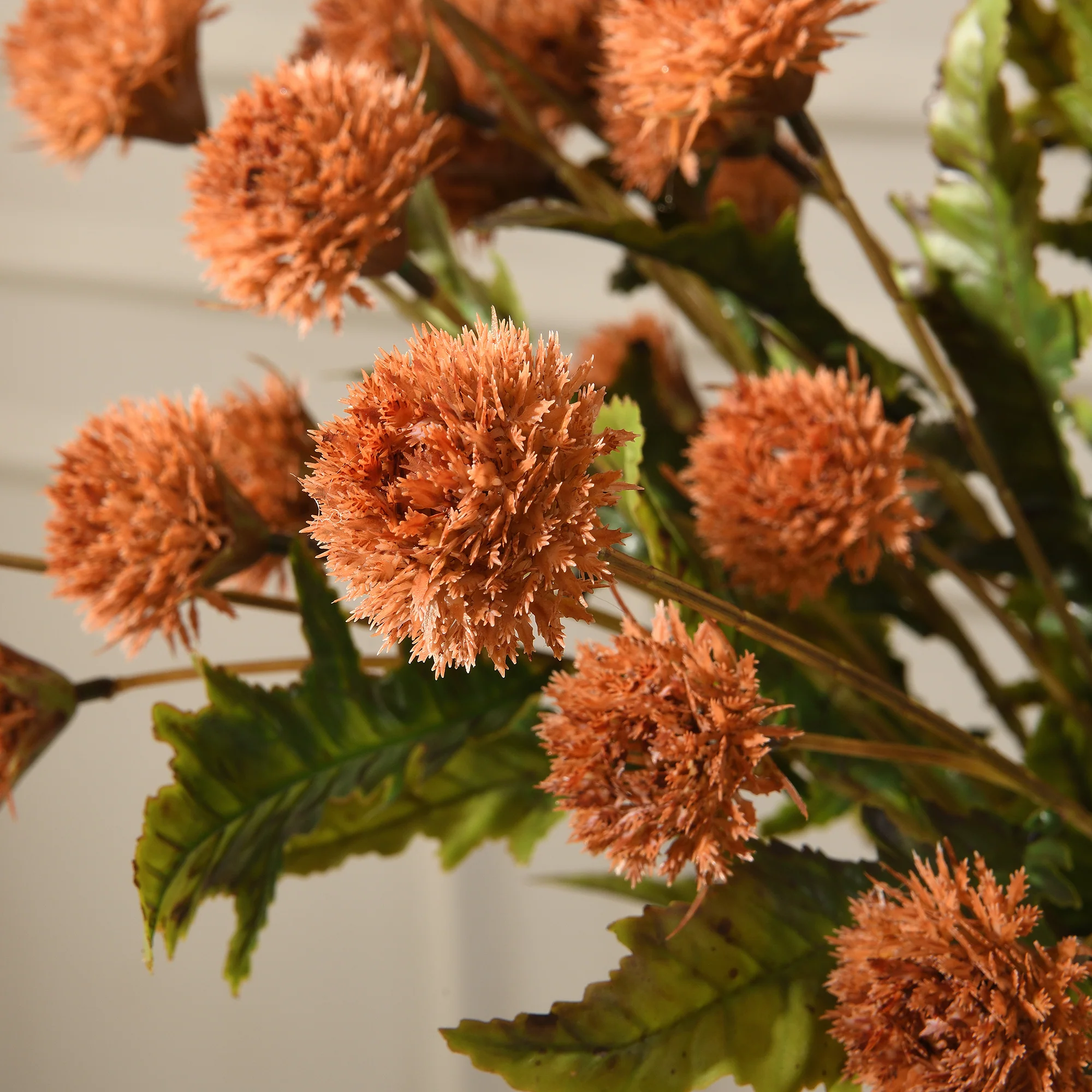 Tige de Chrysanthème Ping Pong 62 cm - Image 14