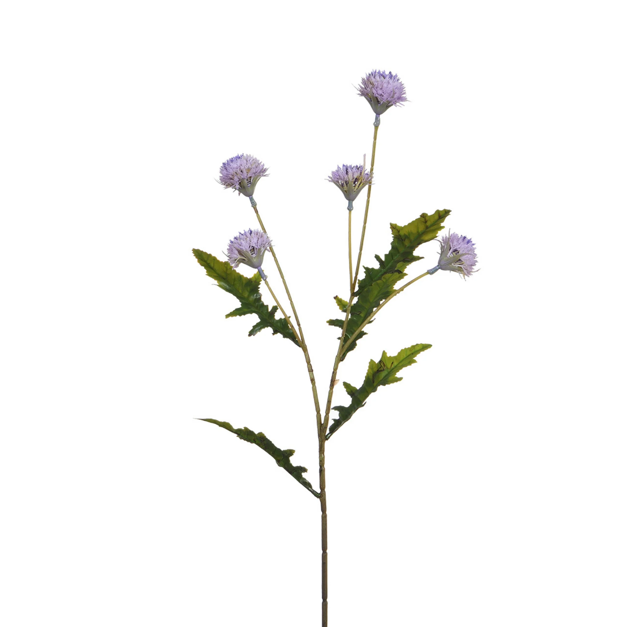 Tige de Chrysanthème Ping Pong 62 cm - Image 15