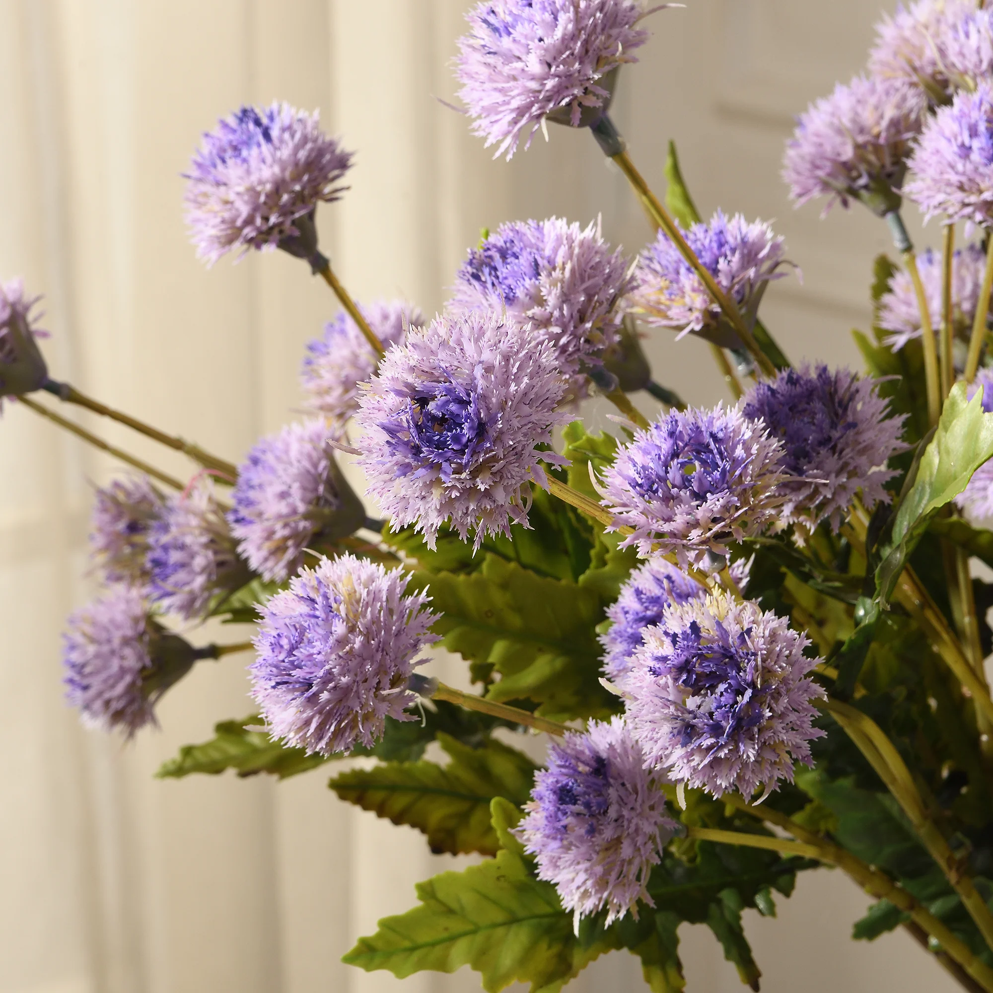 Tige de Chrysanthème Ping Pong 62 cm - Image 17