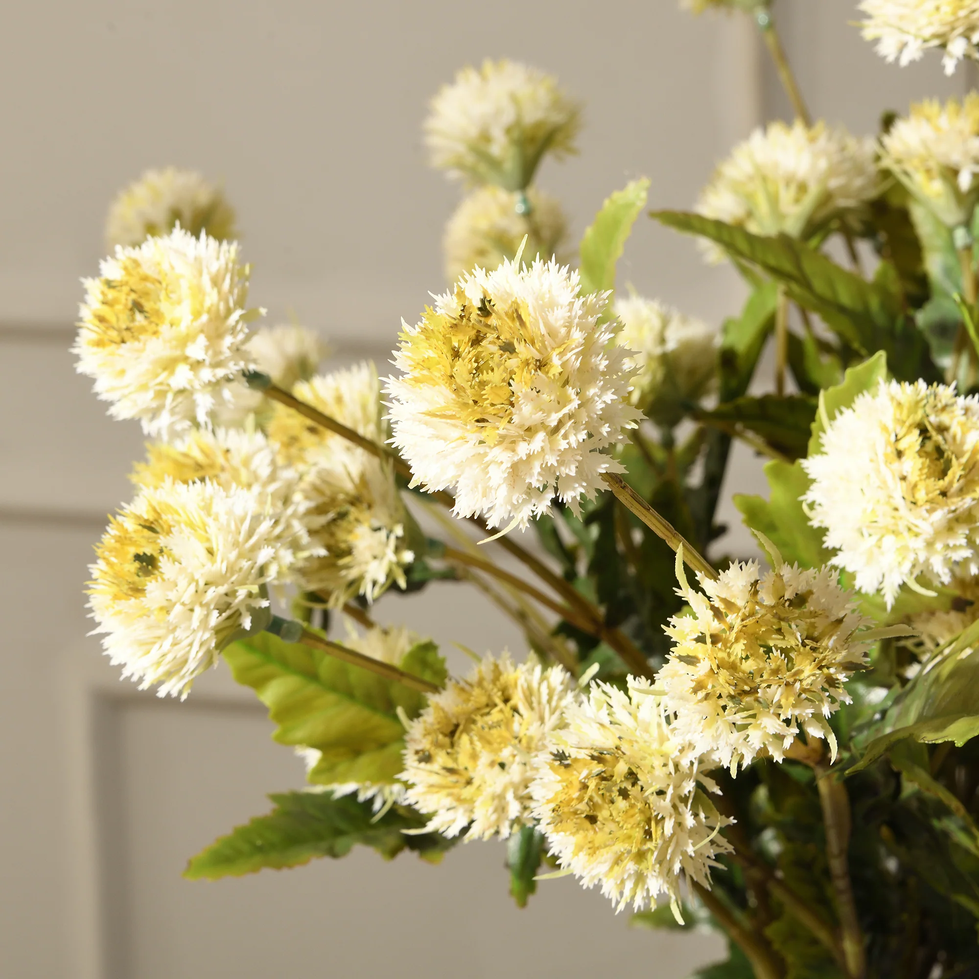 Tige de Chrysanthème Ping Pong 62 cm - Image 3