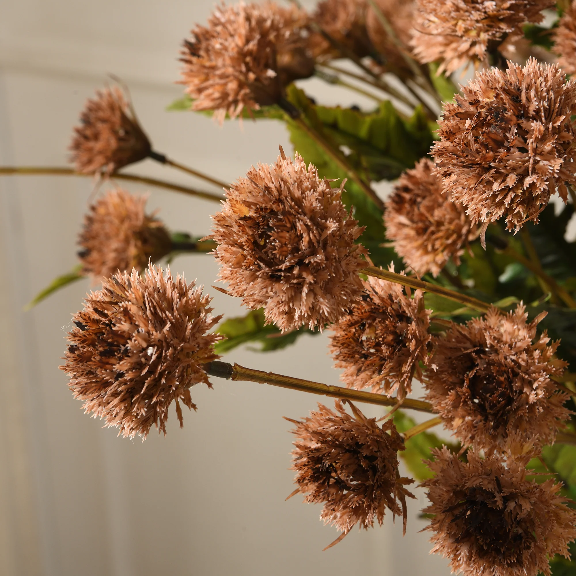 Tige de Chrysanthème Ping Pong 62 cm - Image 6