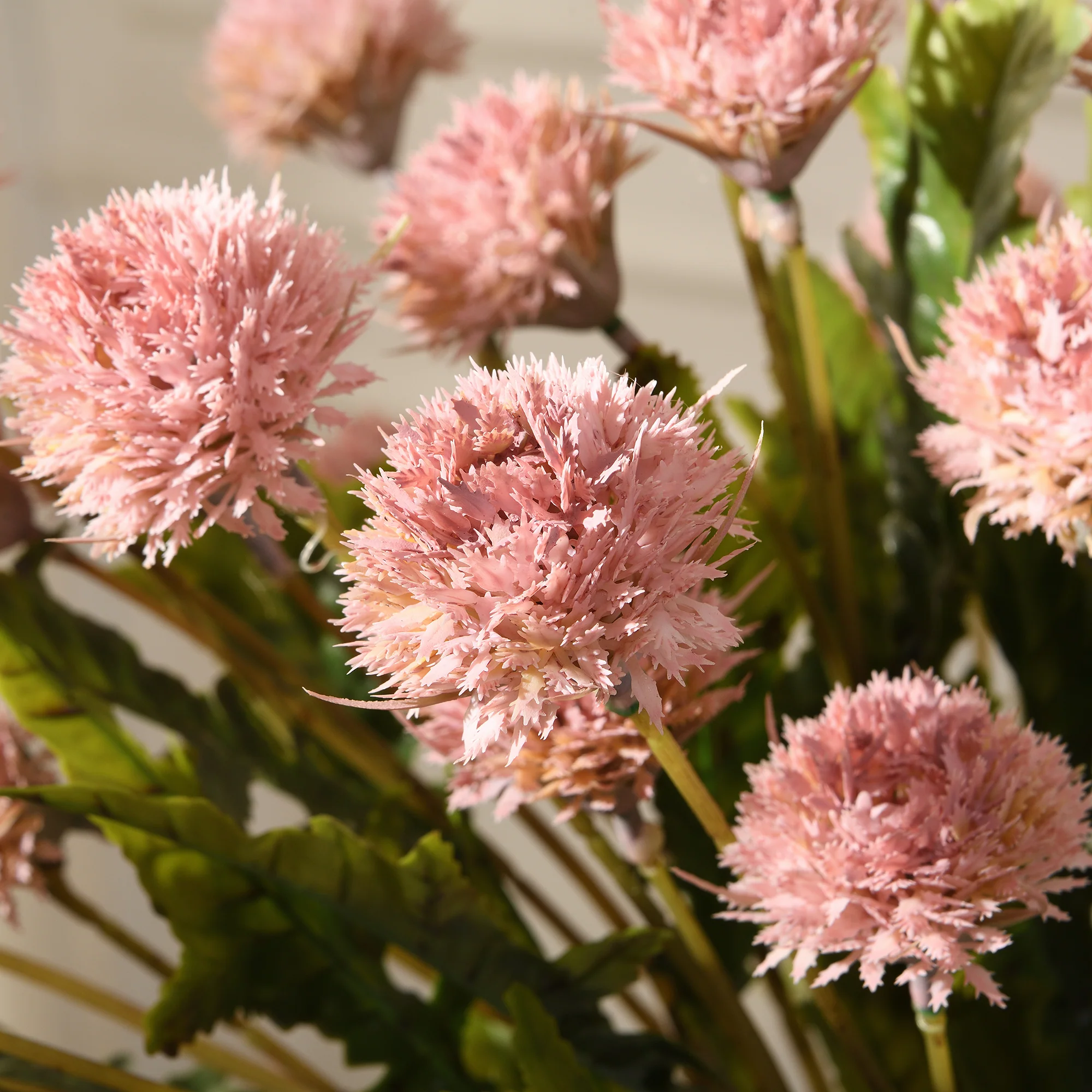 Tige de Chrysanthème Ping Pong 62 cm - Image 8