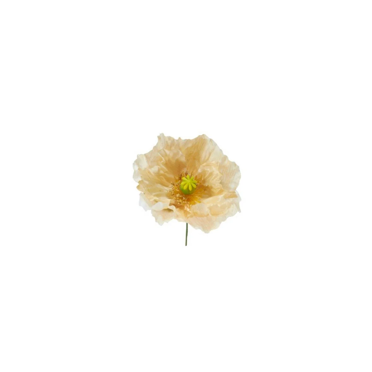 Tige de Coquelicot à piquer