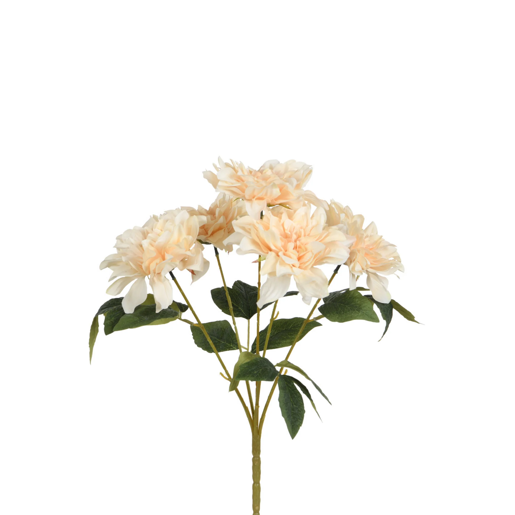Tige de Dahlia 45 cm - Image 10