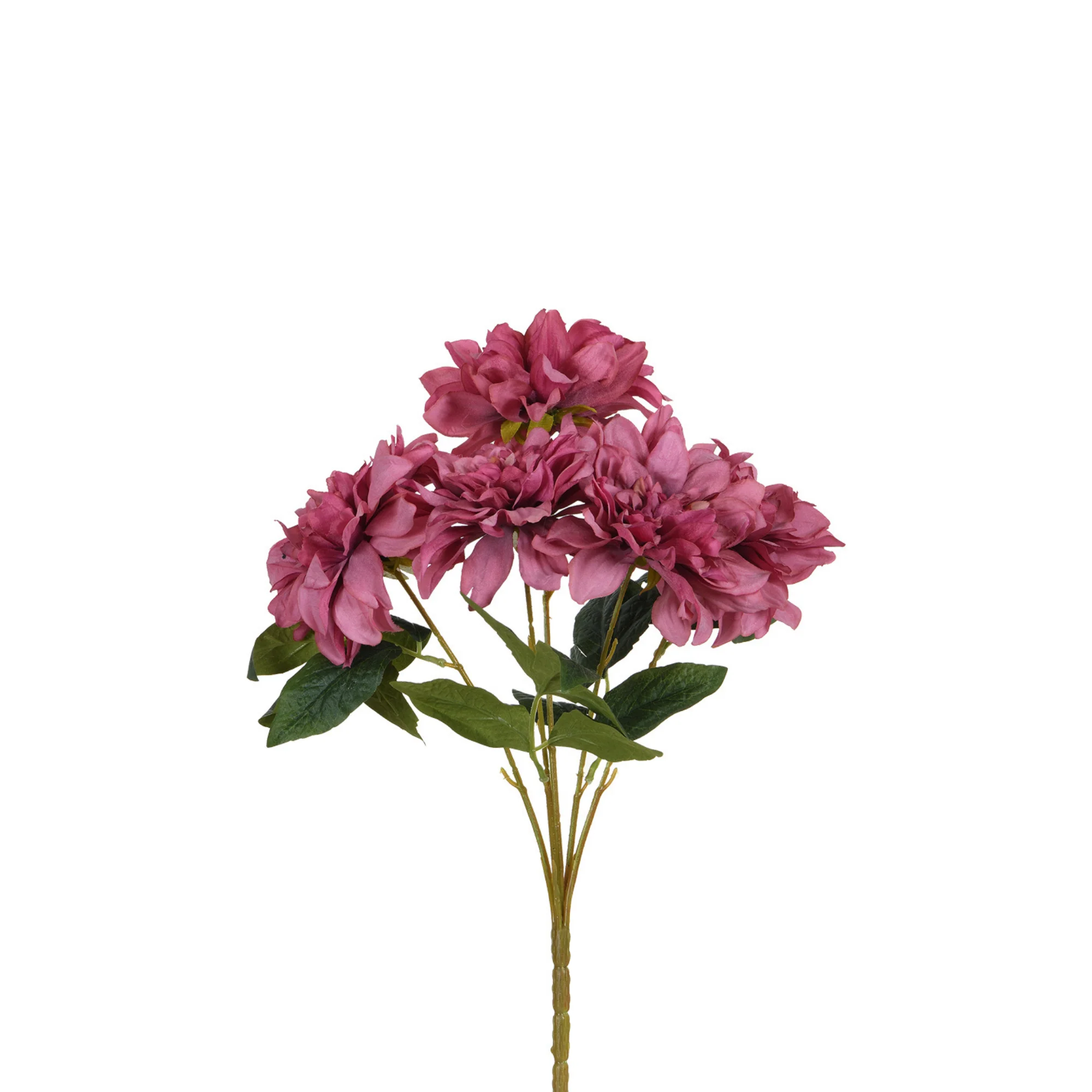 Tige de Dahlia 45 cm - Image 4