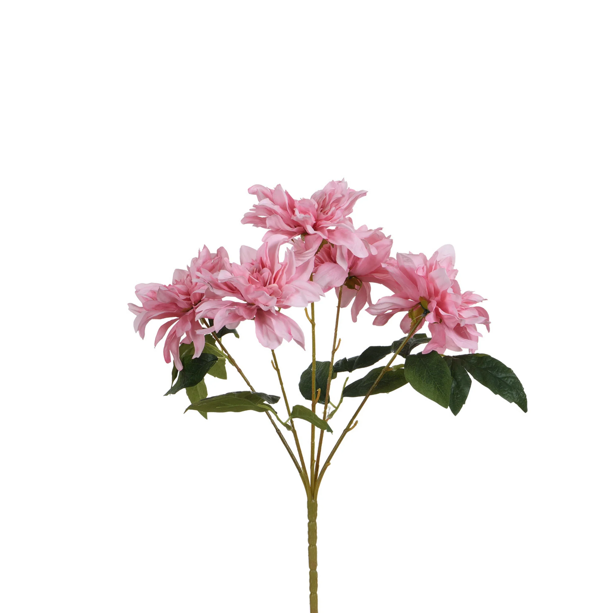 Tige de Dahlia 45 cm - Image 7