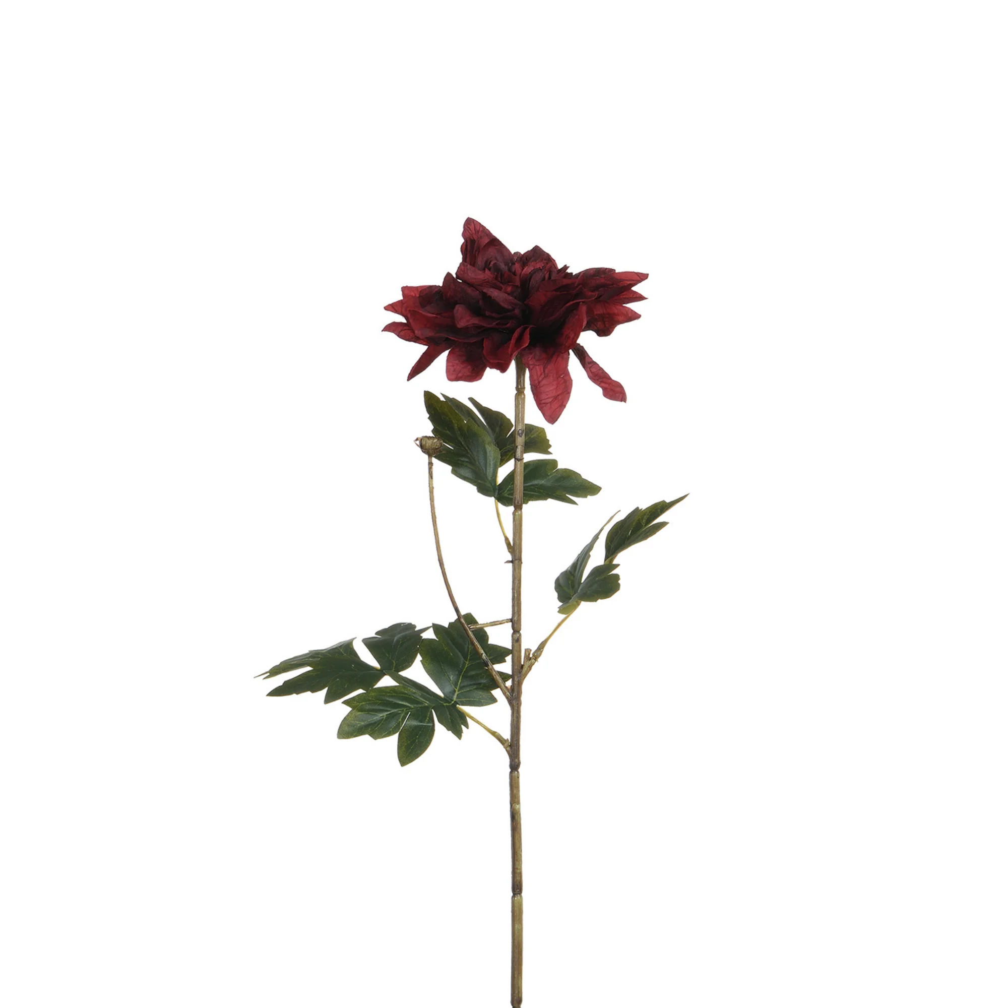 Tige de Dahlia 65 cm - Image 10