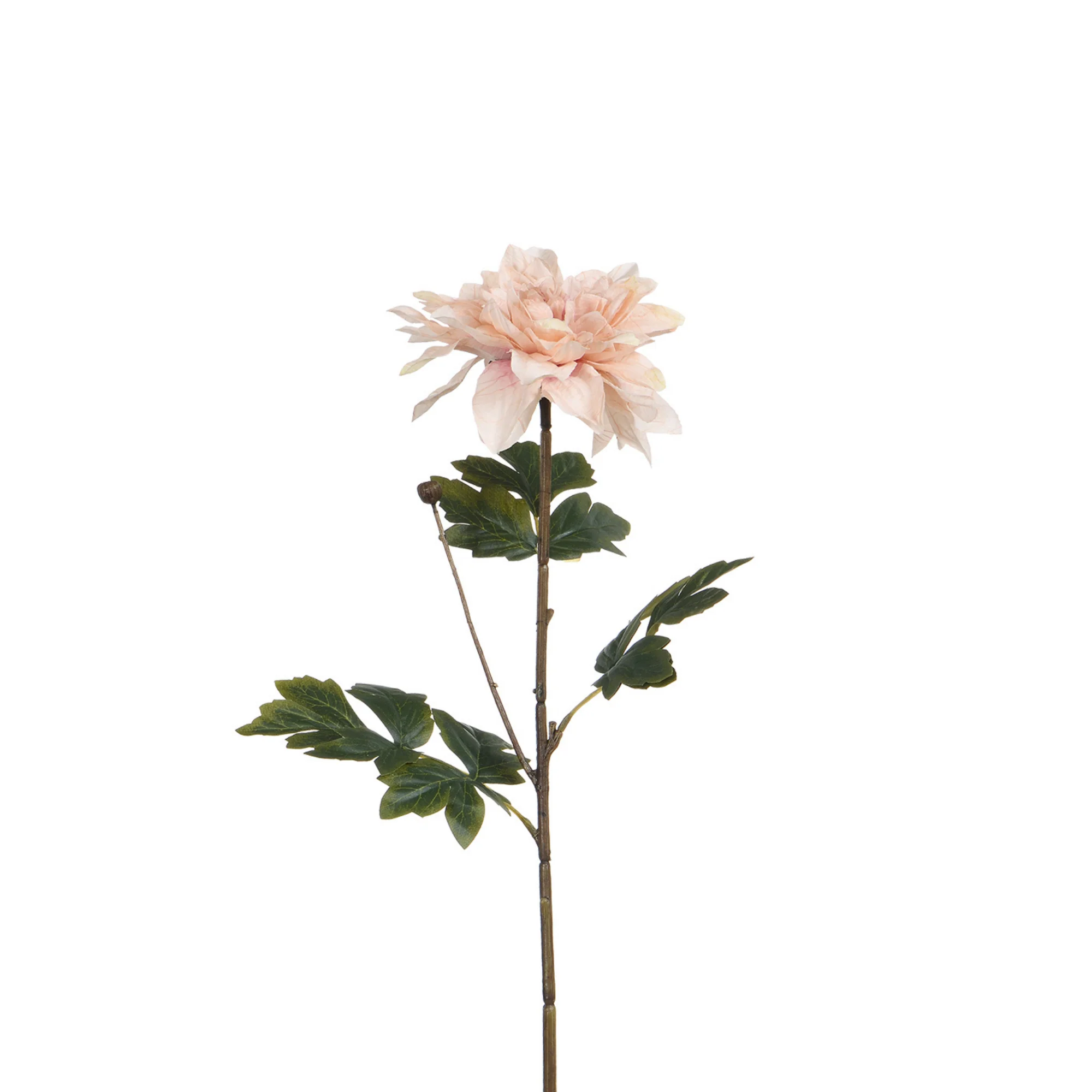 Tige de Dahlia 65 cm - Image 4