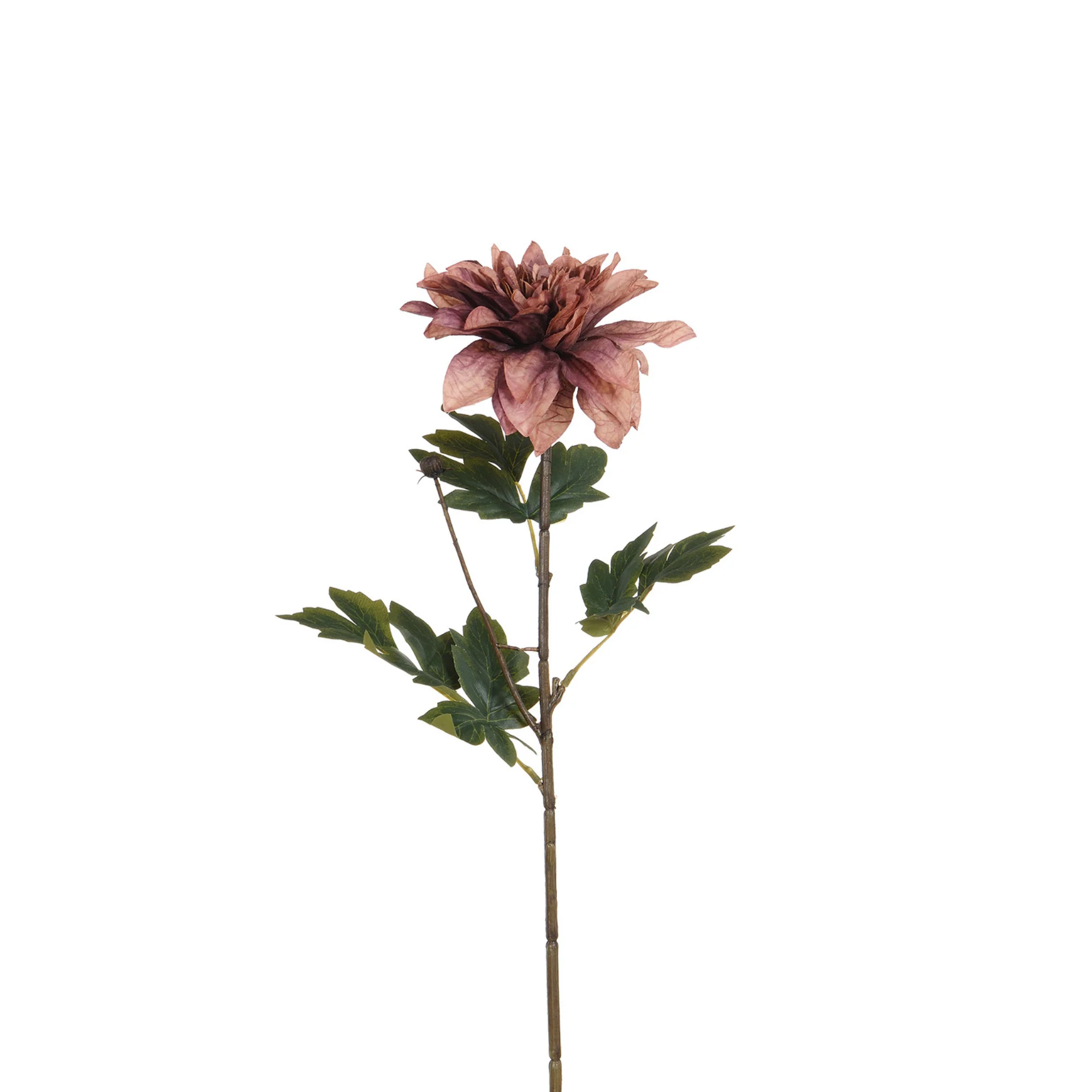 Tige de Dahlia 65 cm - Image 7