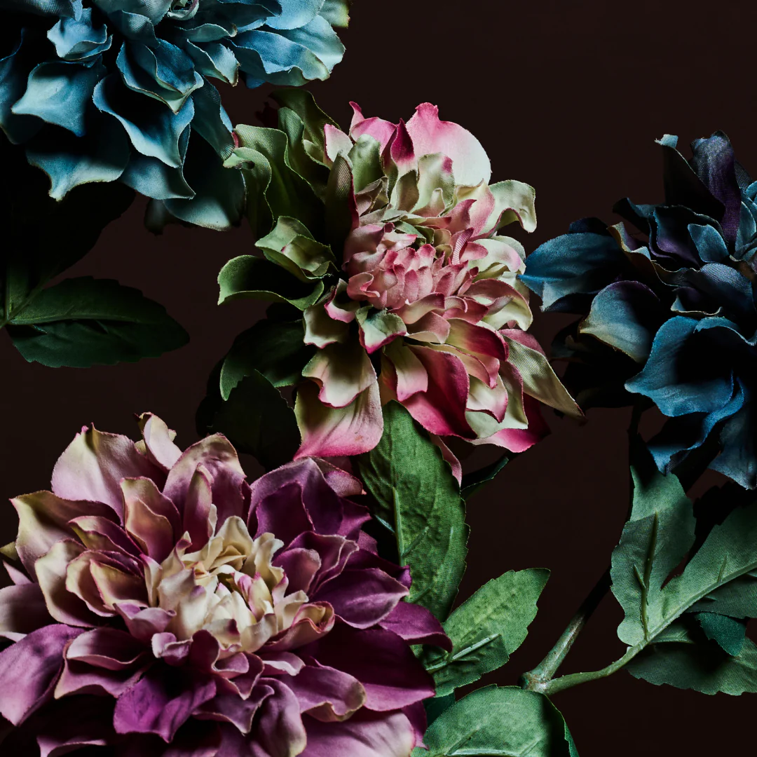 Tige de Dahlia Waterlily avec Bourgeon - Image 3