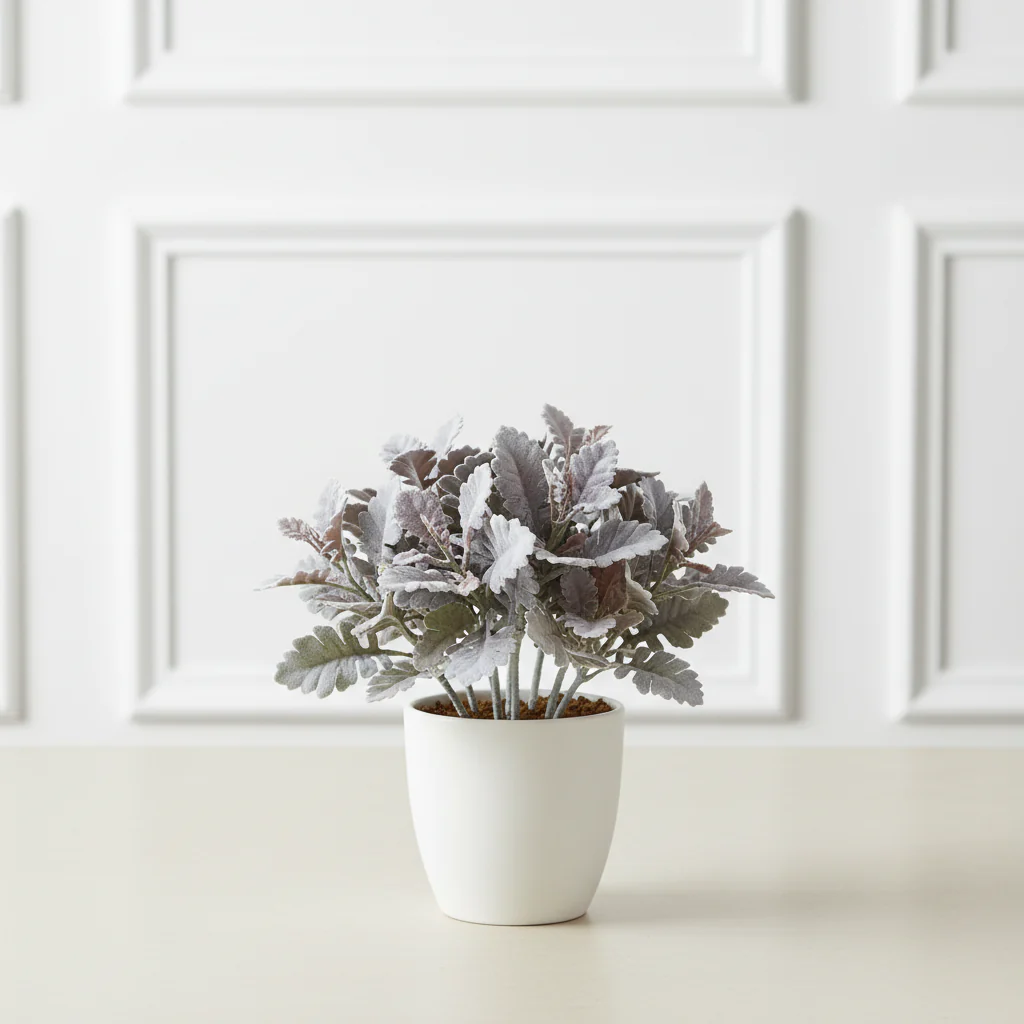 Feuillage Dusty Miller - Image 4