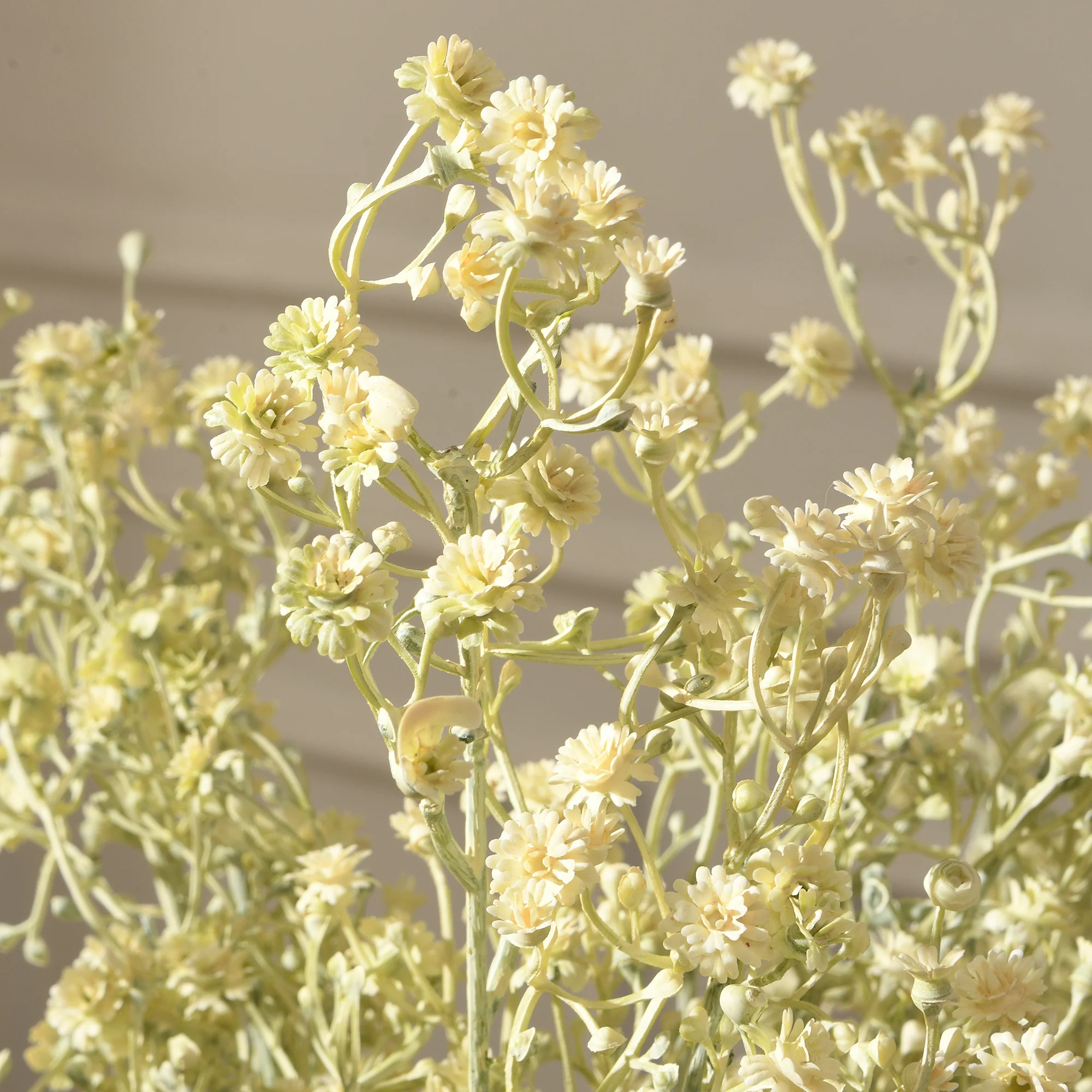 Tige de Gypsophile 59 cm - Image 6