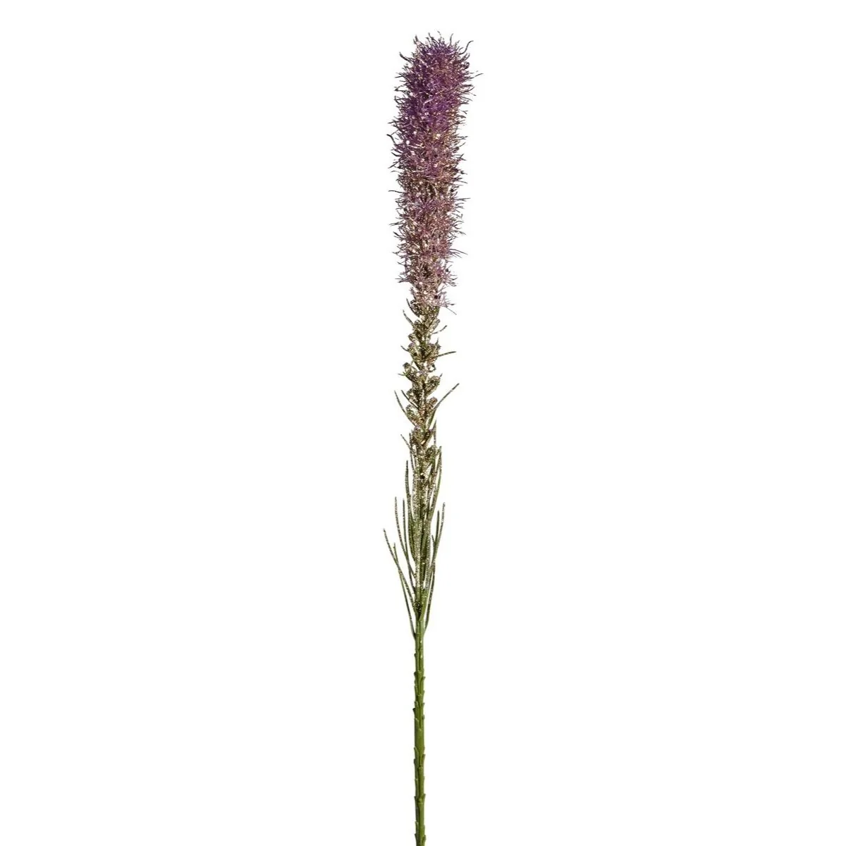 Tige de Liatris pailletée