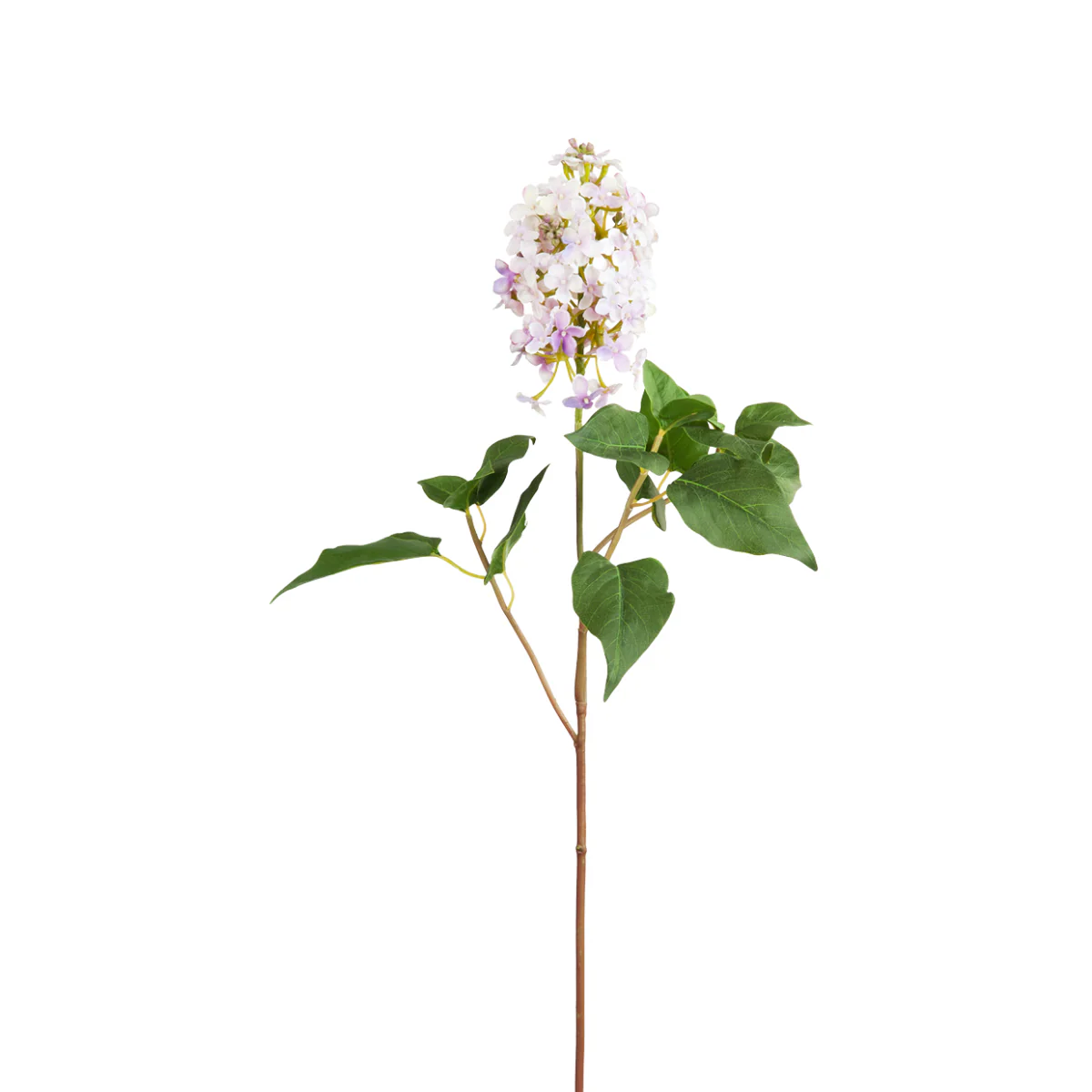 Tige de Lilas Petit Format - Image 3