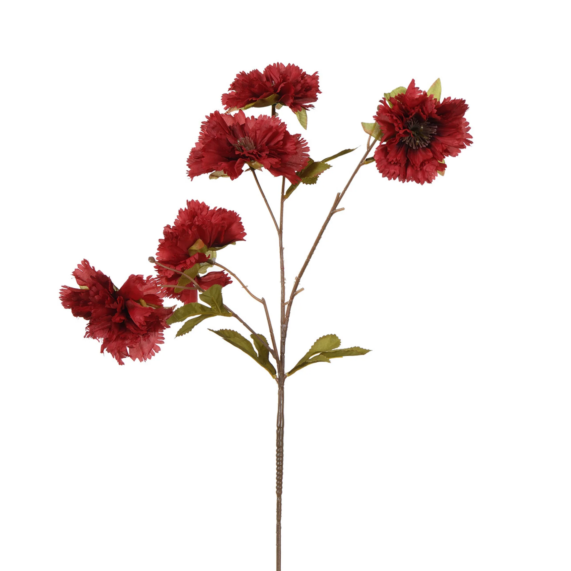 Tige d'Œillet 70 cm - Image 10