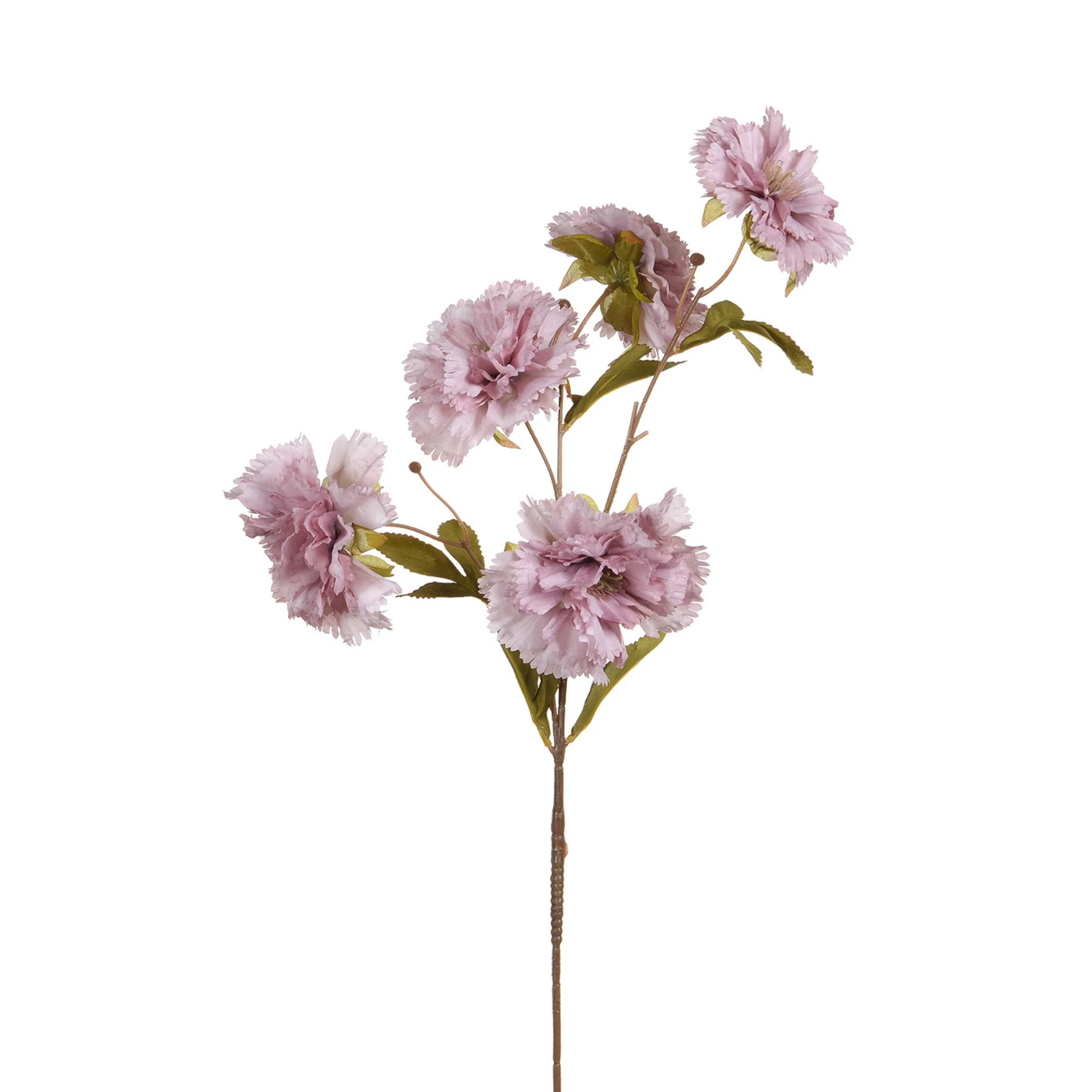 Tige d'Œillet 70 cm - Image 7