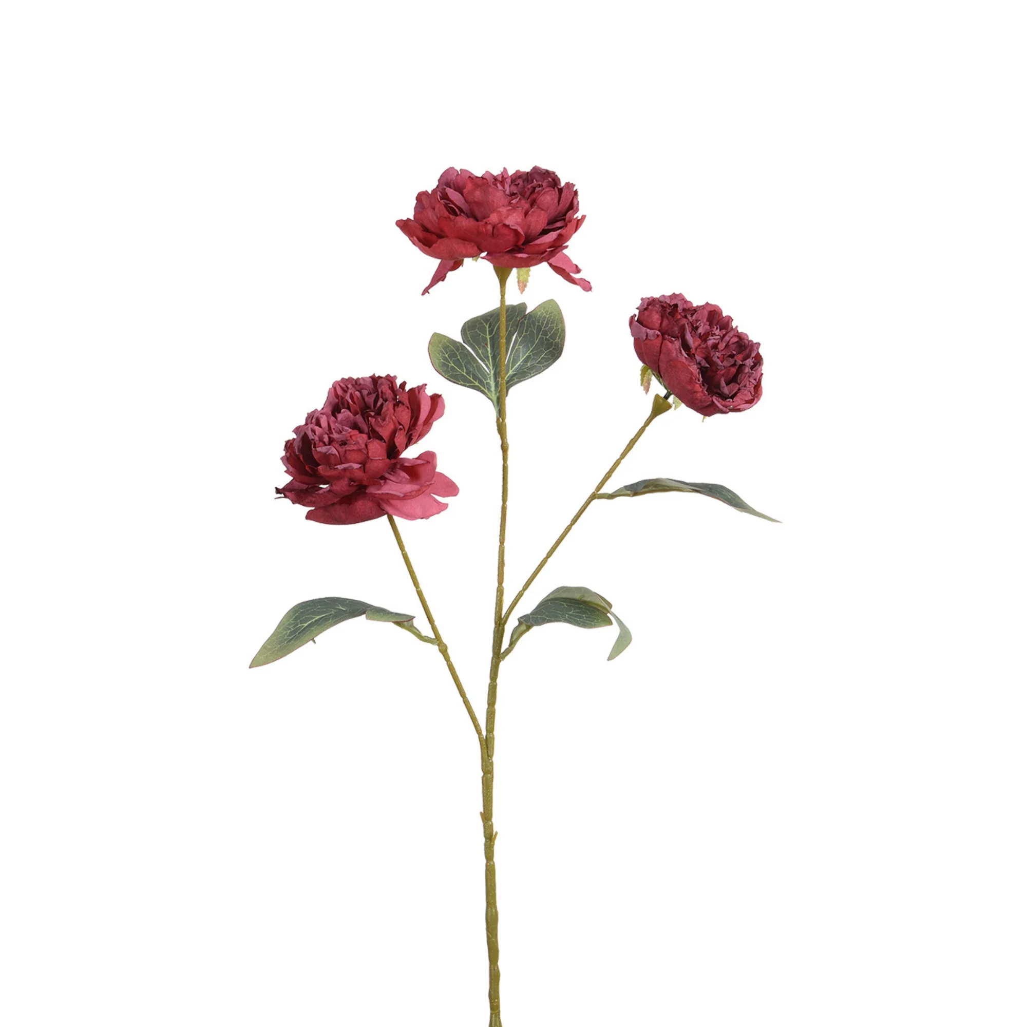 Tige de Pivoine 85 cm - Image 10