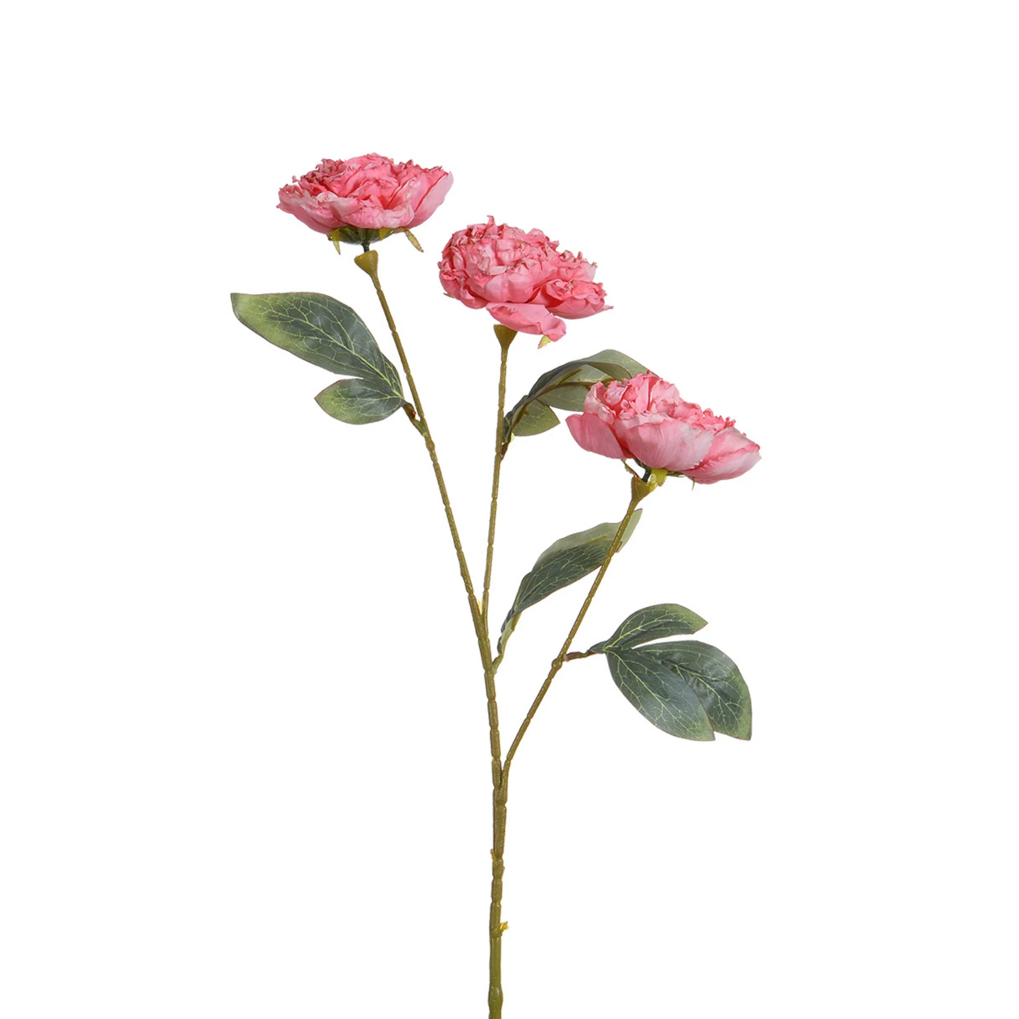 Tige de Pivoine 85 cm - Image 4