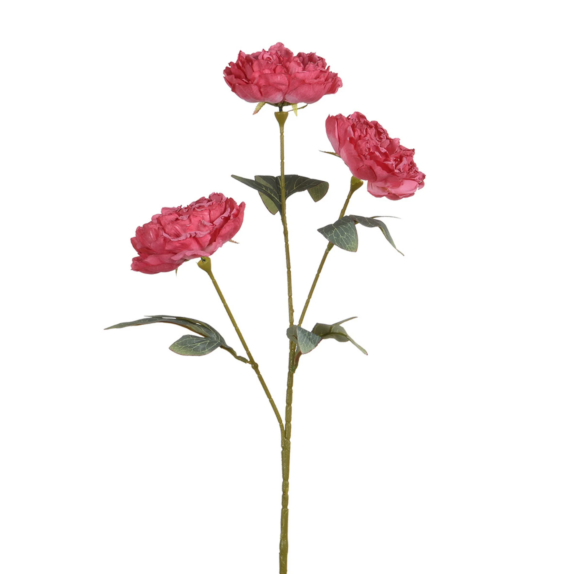 Tige de Pivoine 85 cm - Image 7