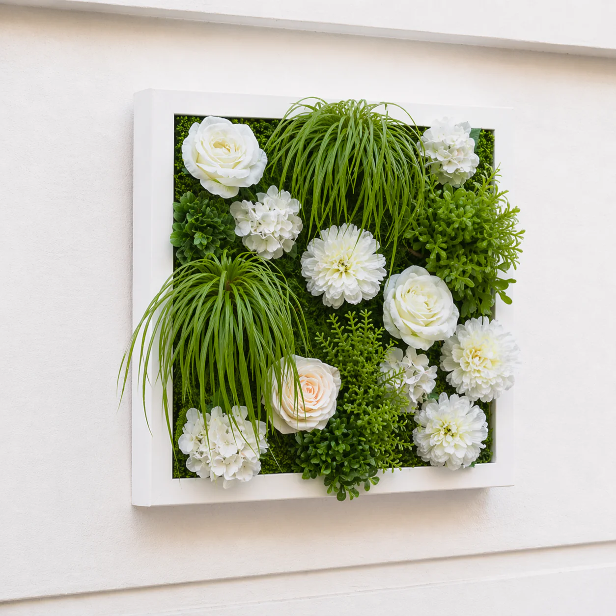 Tige de Pivoine à piquer - Image 3
