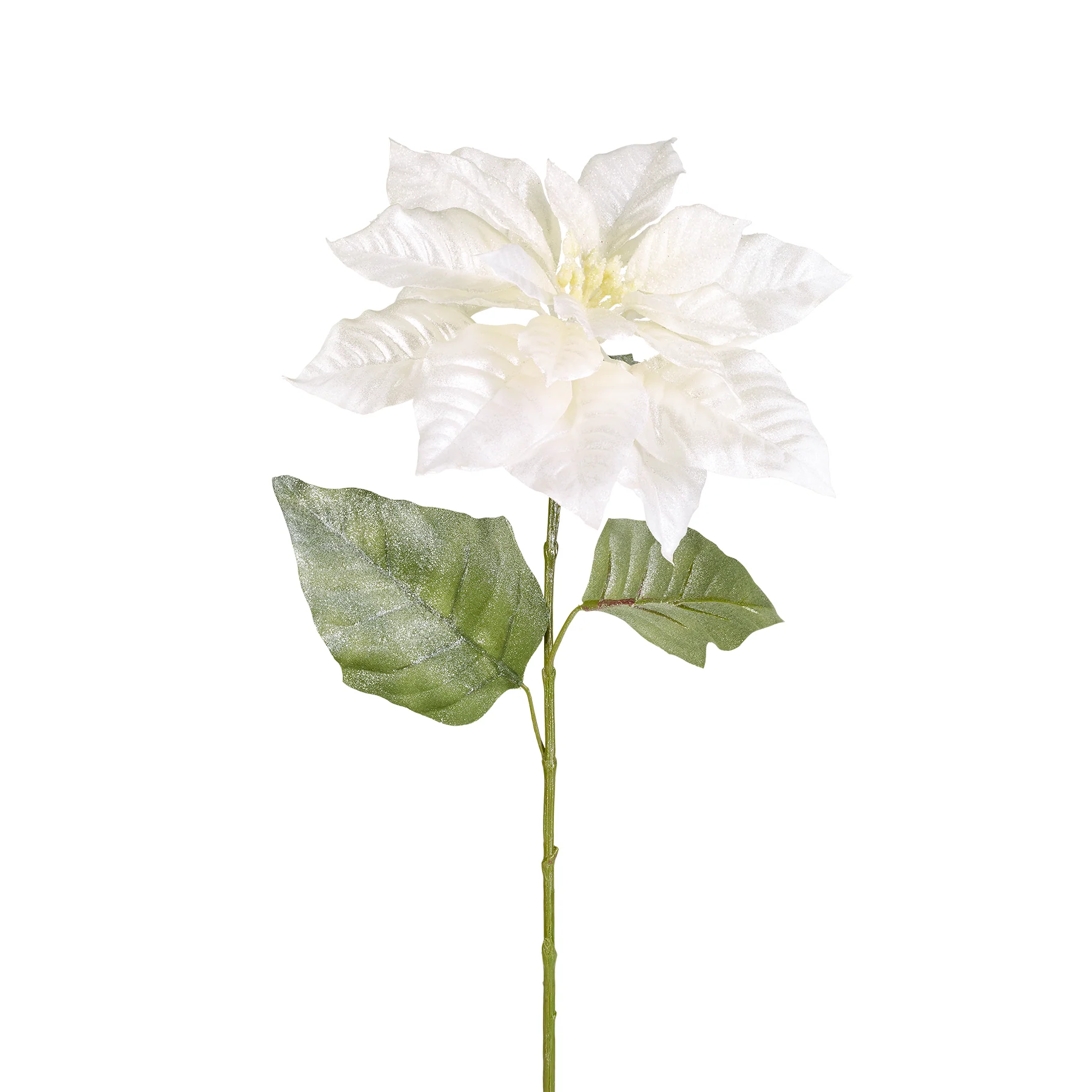 Tige de Poinsettia Pailletée - Image 4