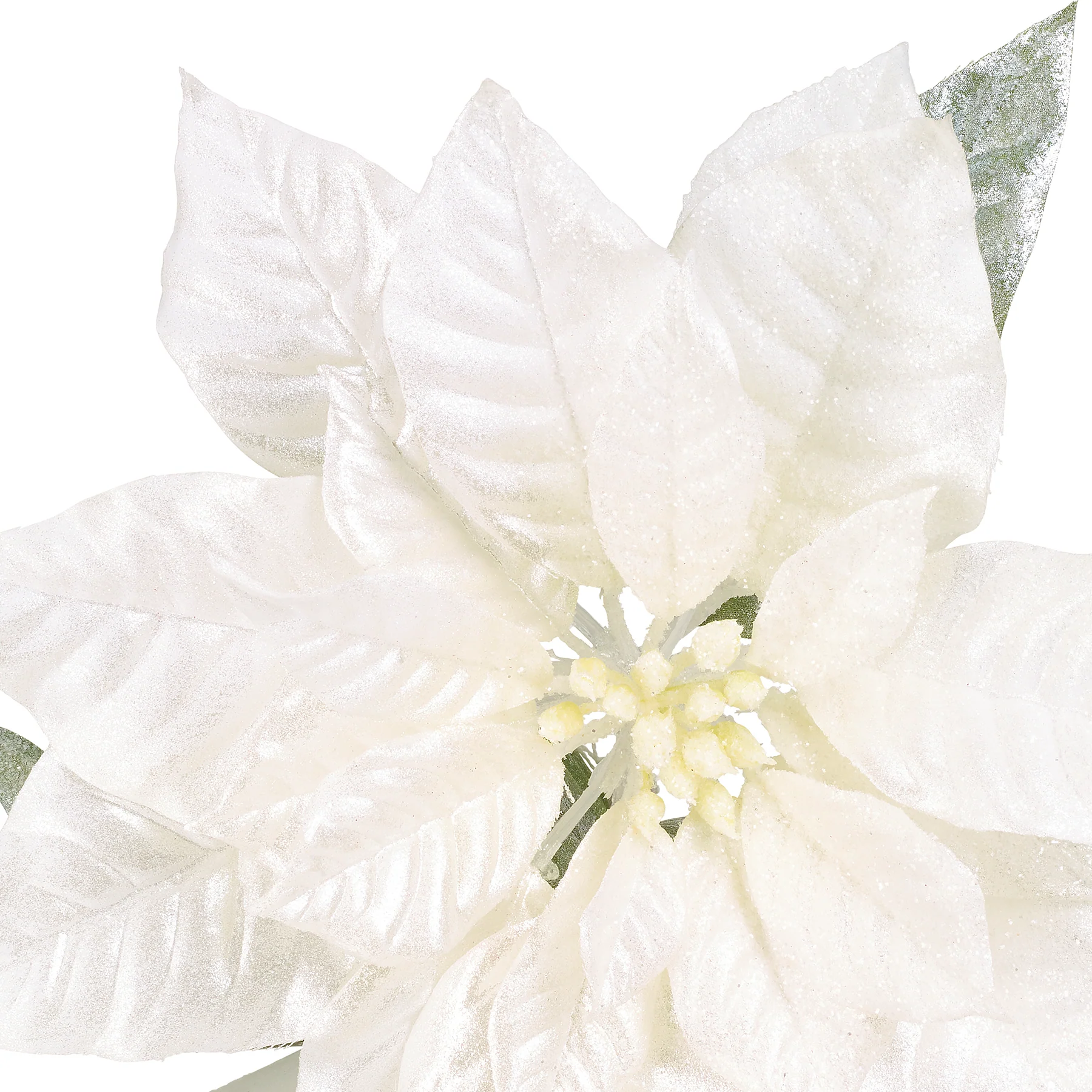Tige de Poinsettia Pailletée - Image 5