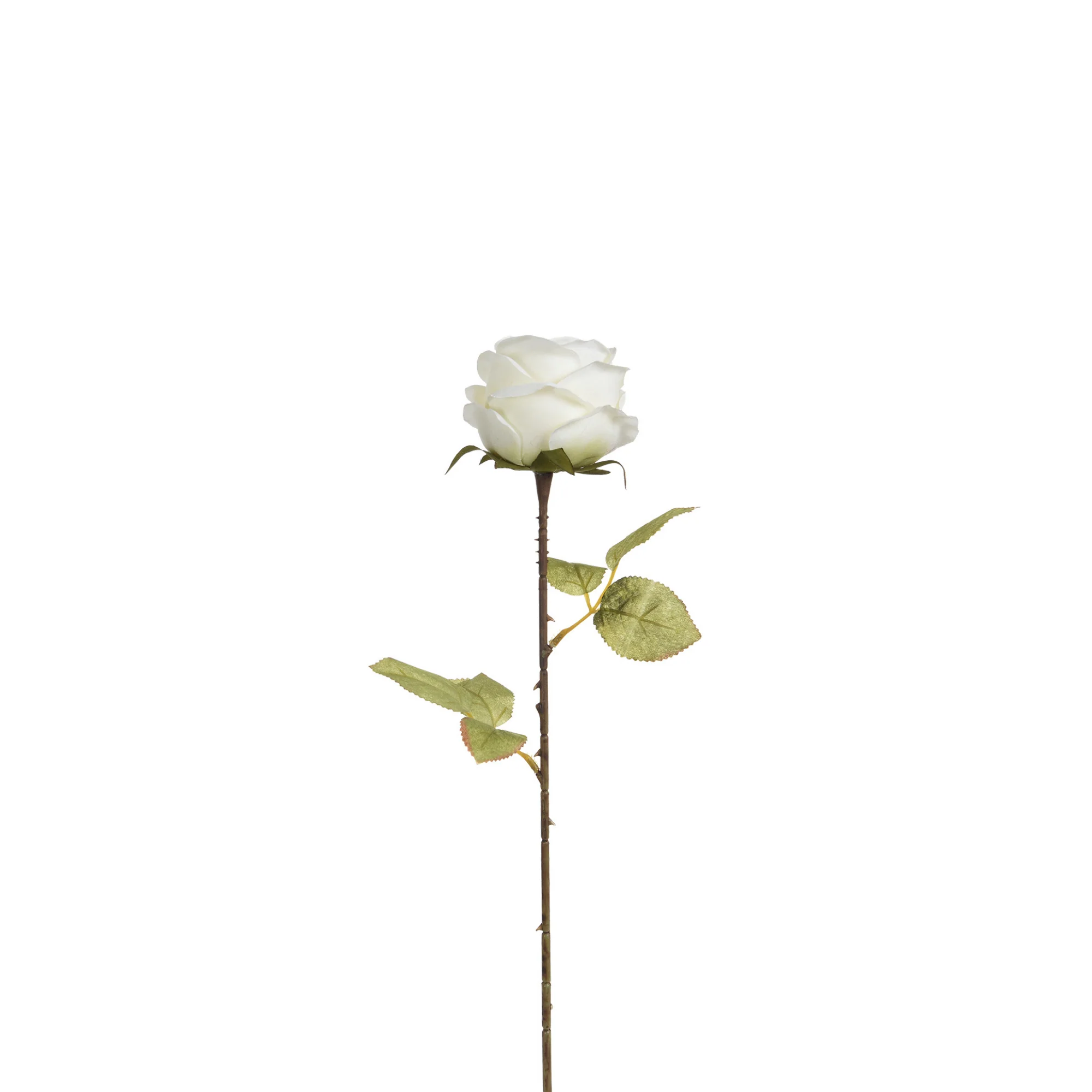 Tige de Rose 56 cm - Image 4