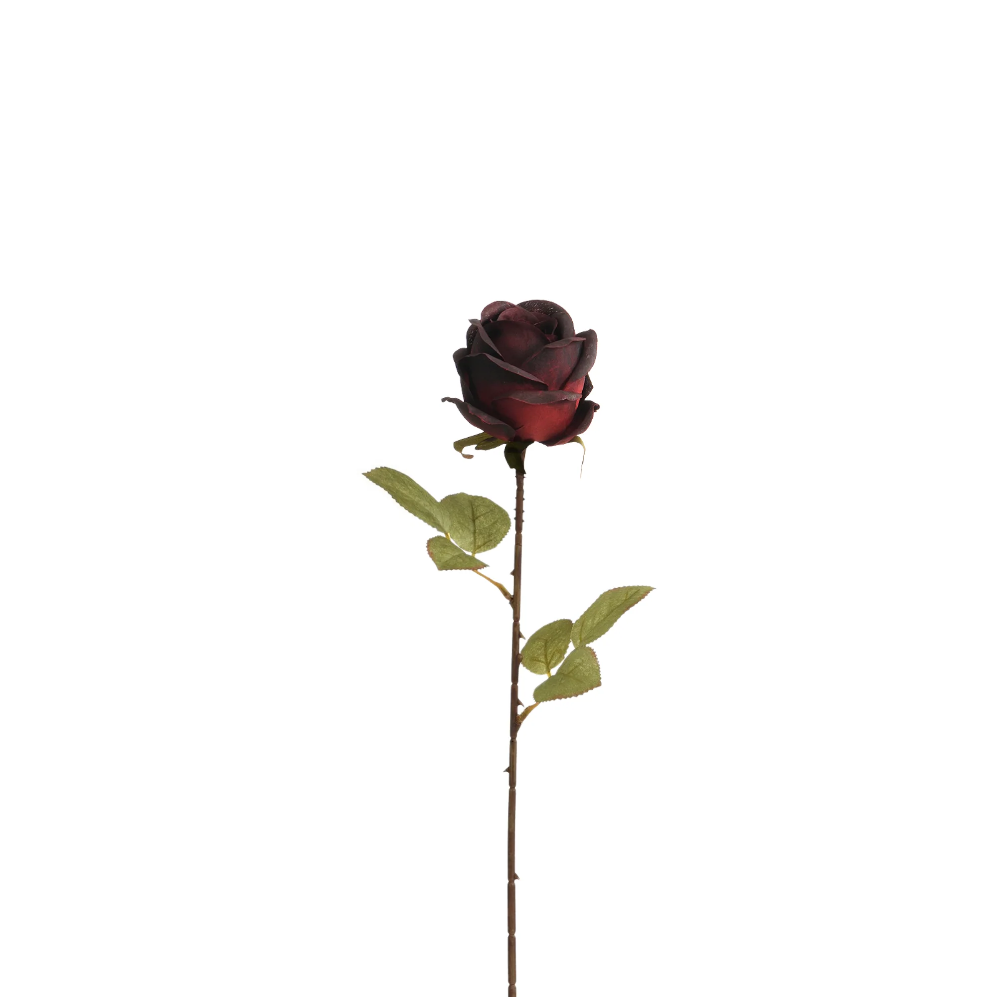 Tige de Rose 56 cm - Image 7