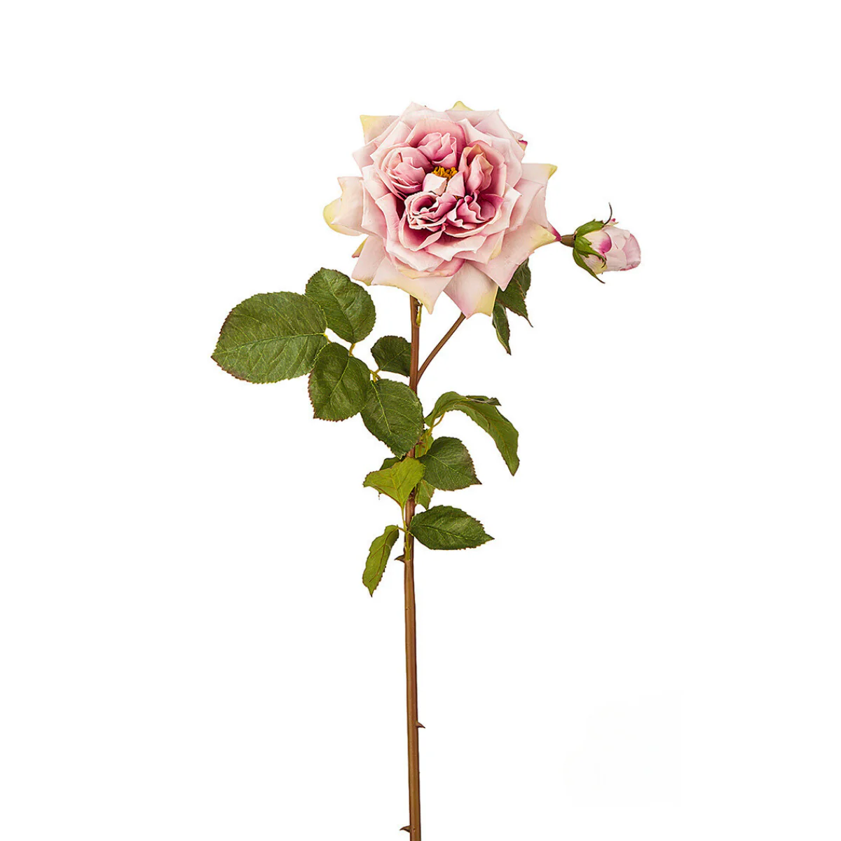 Miniature 1