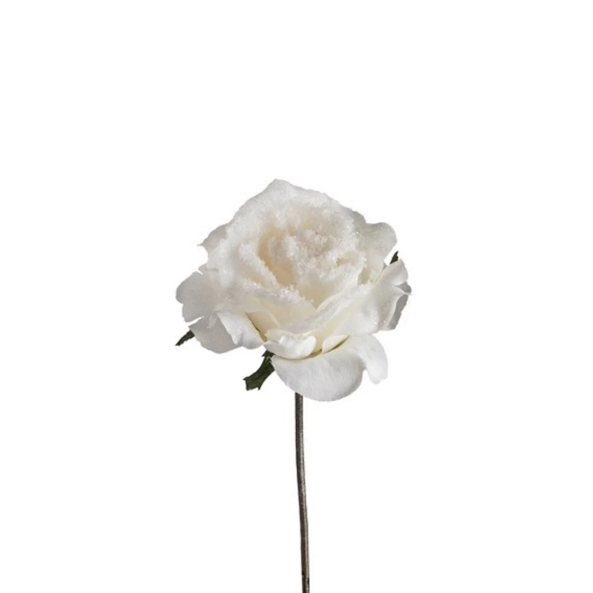 Tige de Rose enneigée ouverte