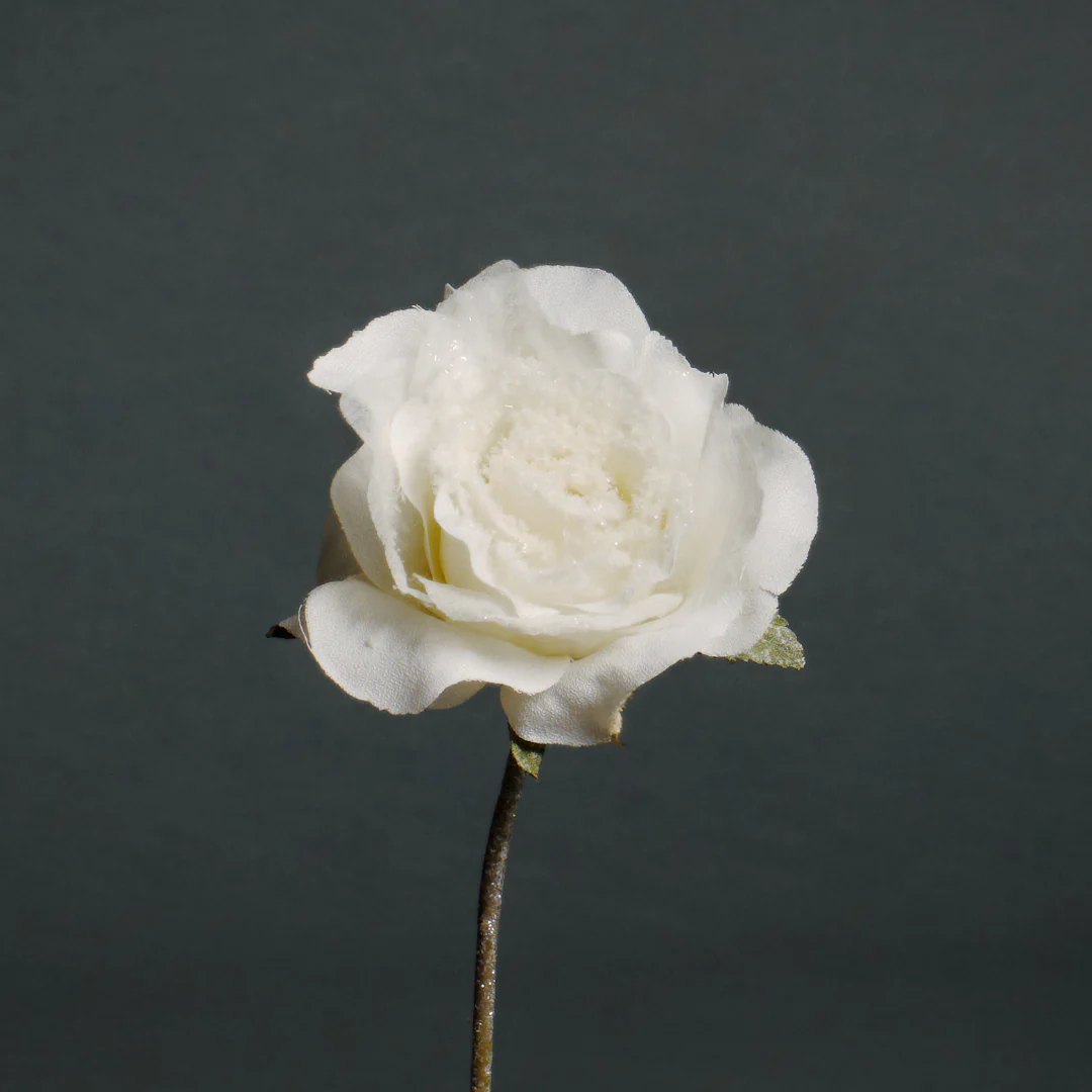 Tige de Rose enneigée ouverte - Image 2
