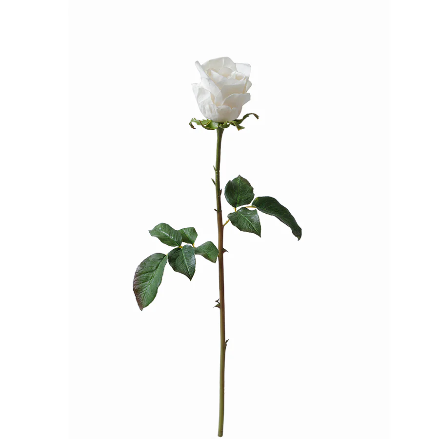 Tige de Rose fermée Premium 50cm - Image 14