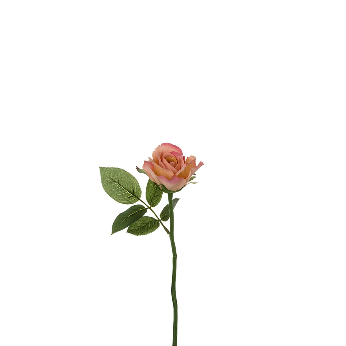 Tige de rose Maria Waterproof fermée - Image 8