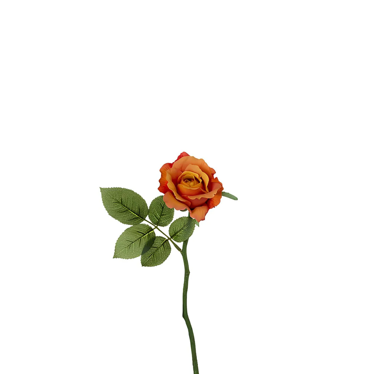 Tige de rose Maria Waterproof ouverte - Image 11