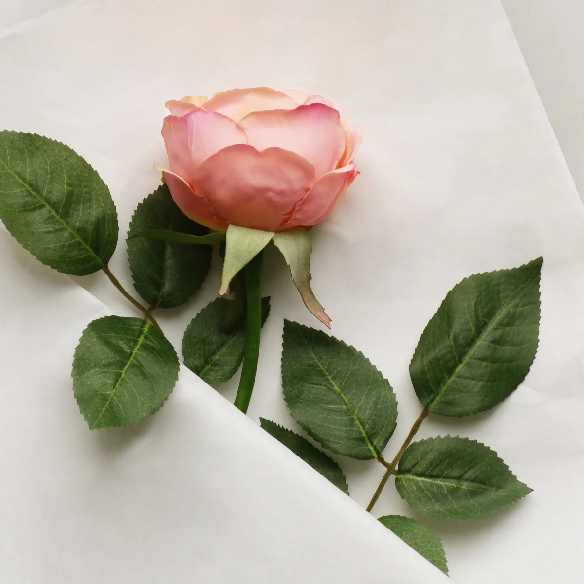 Tige de rose Maria Waterproof ouverte - Image 13