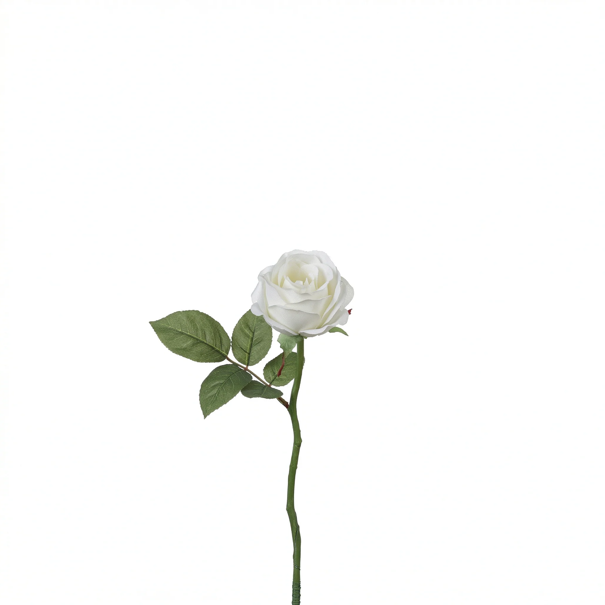 Tige de rose Maria Waterproof ouverte - Image 7