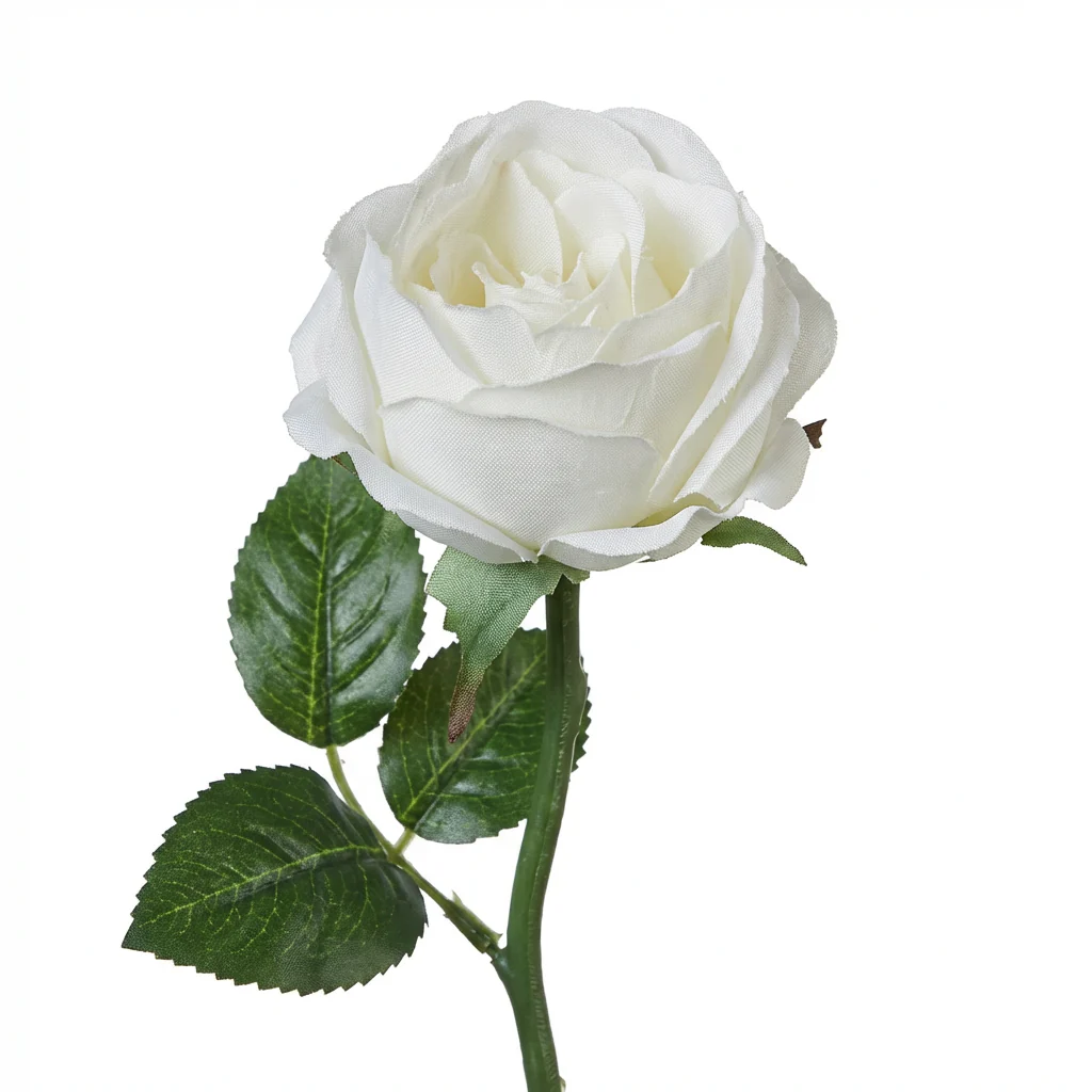Tige de rose Maria Waterproof ouverte - Image 9