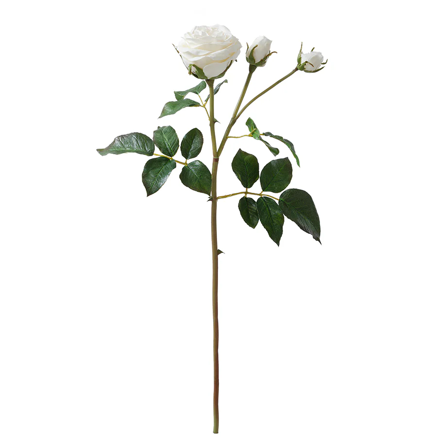 Tige de Rose ouverte avec bourgeons Premium 55cm - Image 10