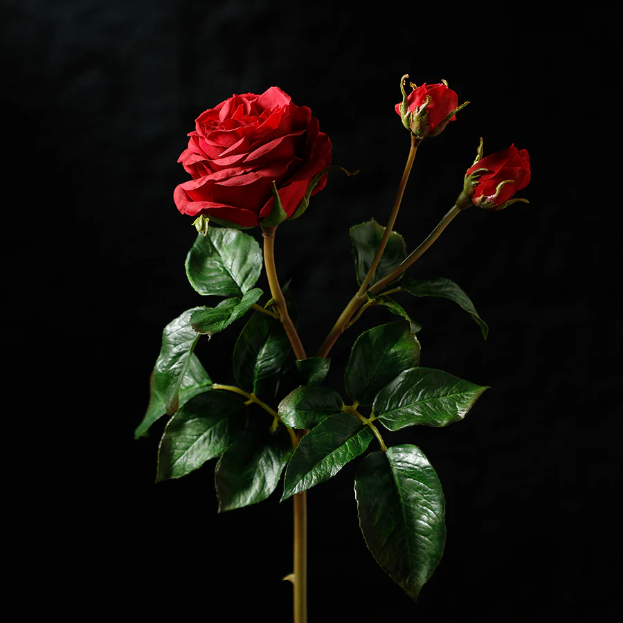 Tige de Rose ouverte avec bourgeons Premium 55cm - Image 2