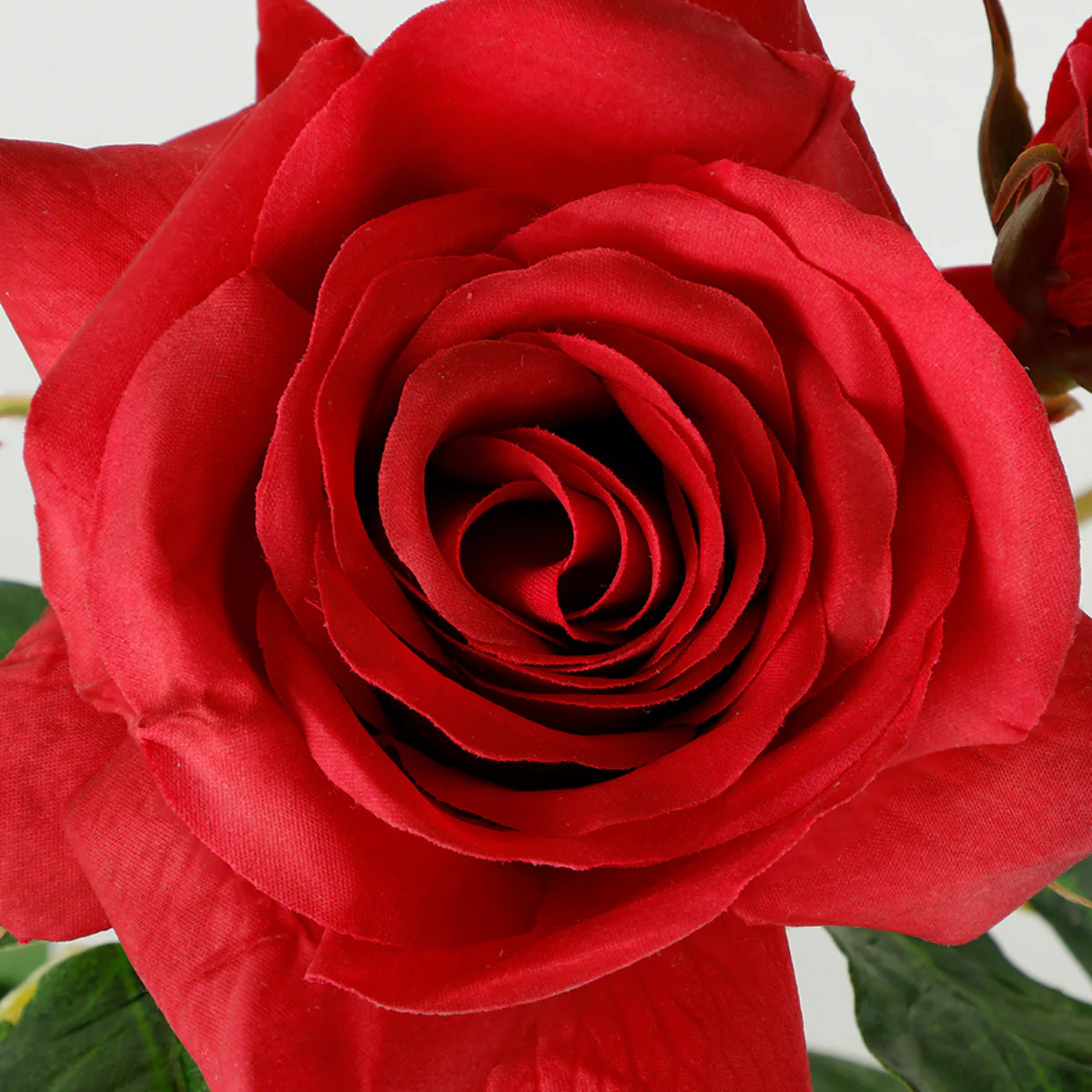 Tige de Rose ouverte avec bourgeons Premium 56cm - Image 3