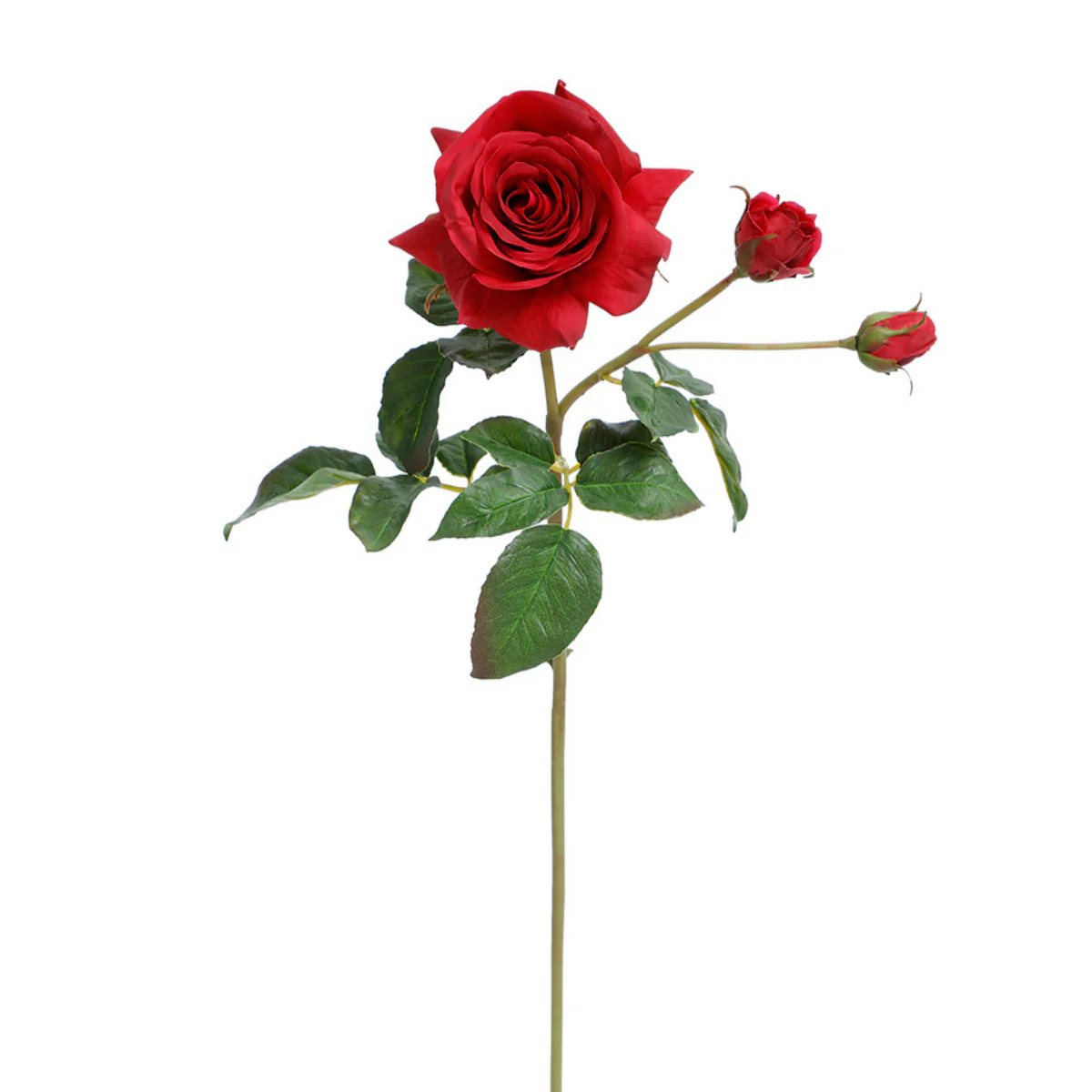 Tige de Rose ouverte avec bourgeons Premium 56cm - Image 5