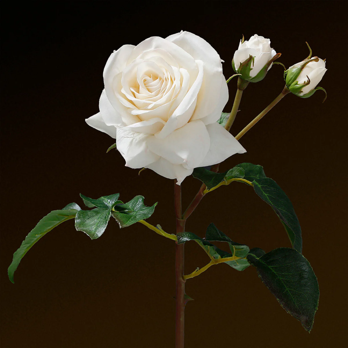 Tige de Rose ouverte avec bourgeons Premium 56cm - Image 7
