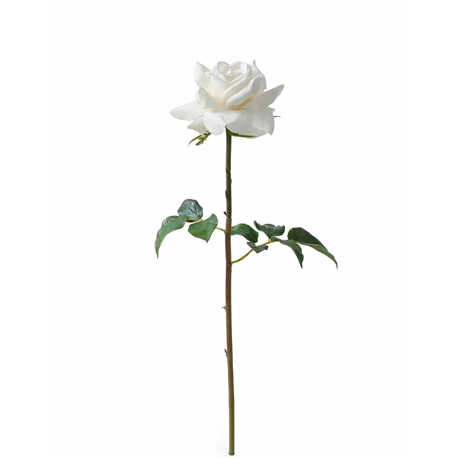 Tige de Rose ouverte Premium 50cm - Image 10