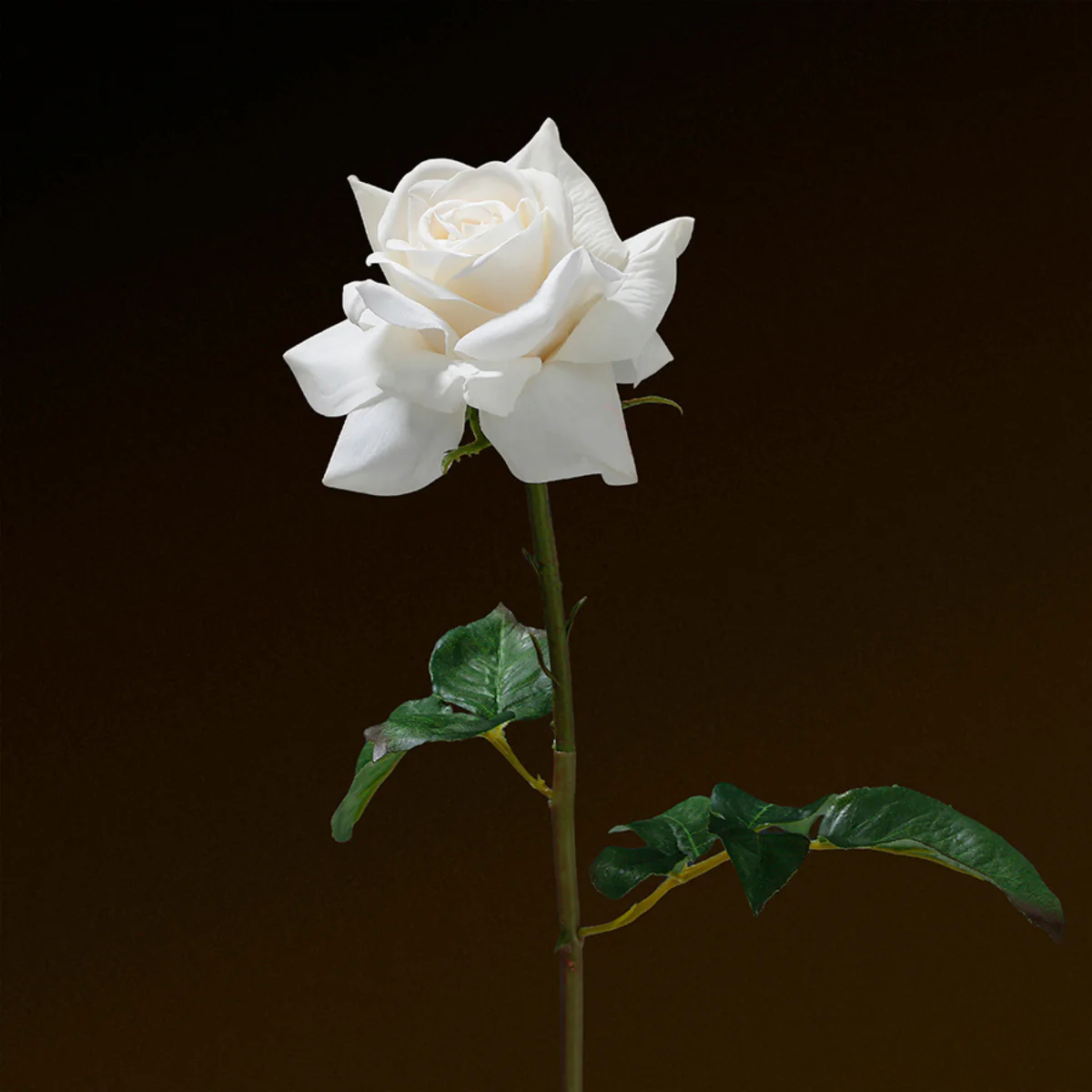 Tige de Rose ouverte Premium 50cm - Image 7