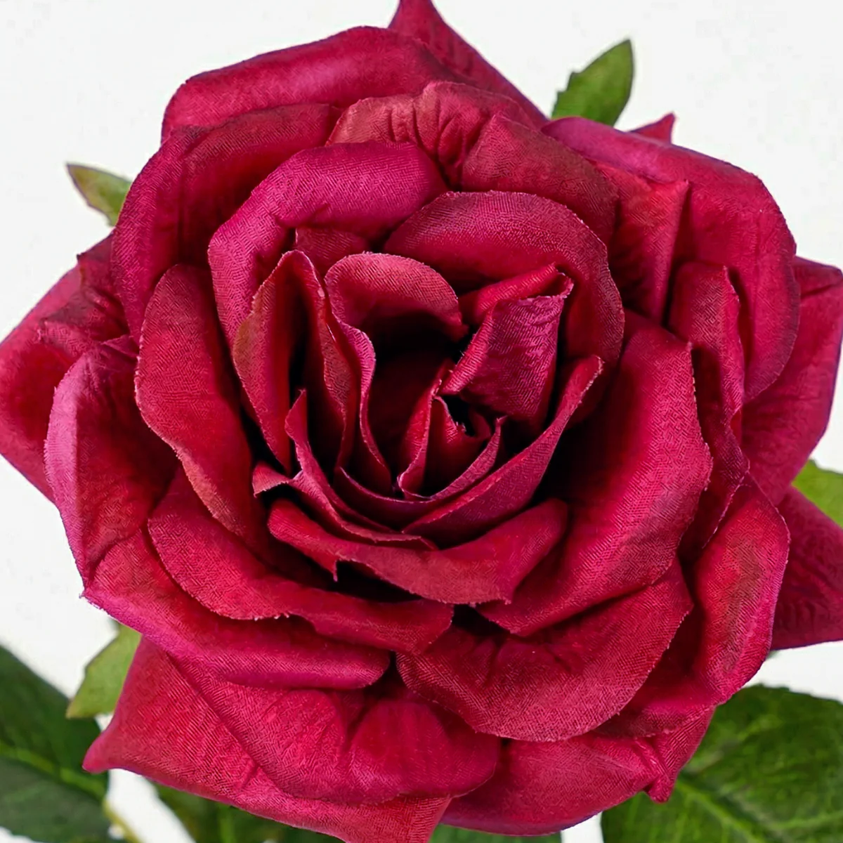 Tige de Rose Premium 50 cm - Image 3