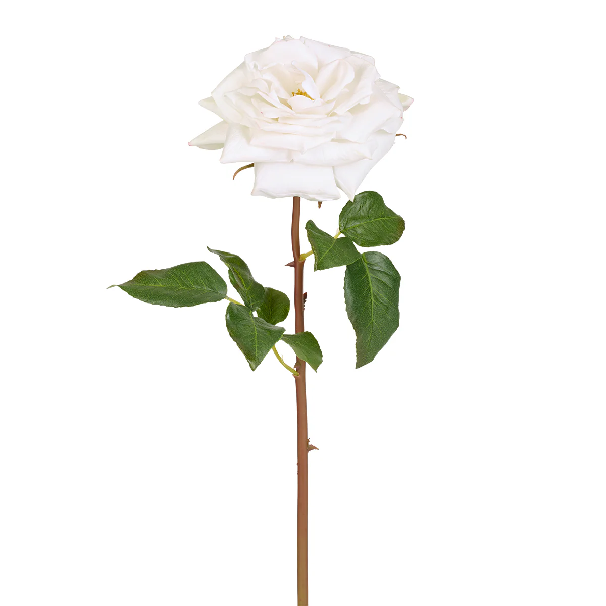 Tige de Rose Premium 50 cm - Image 8