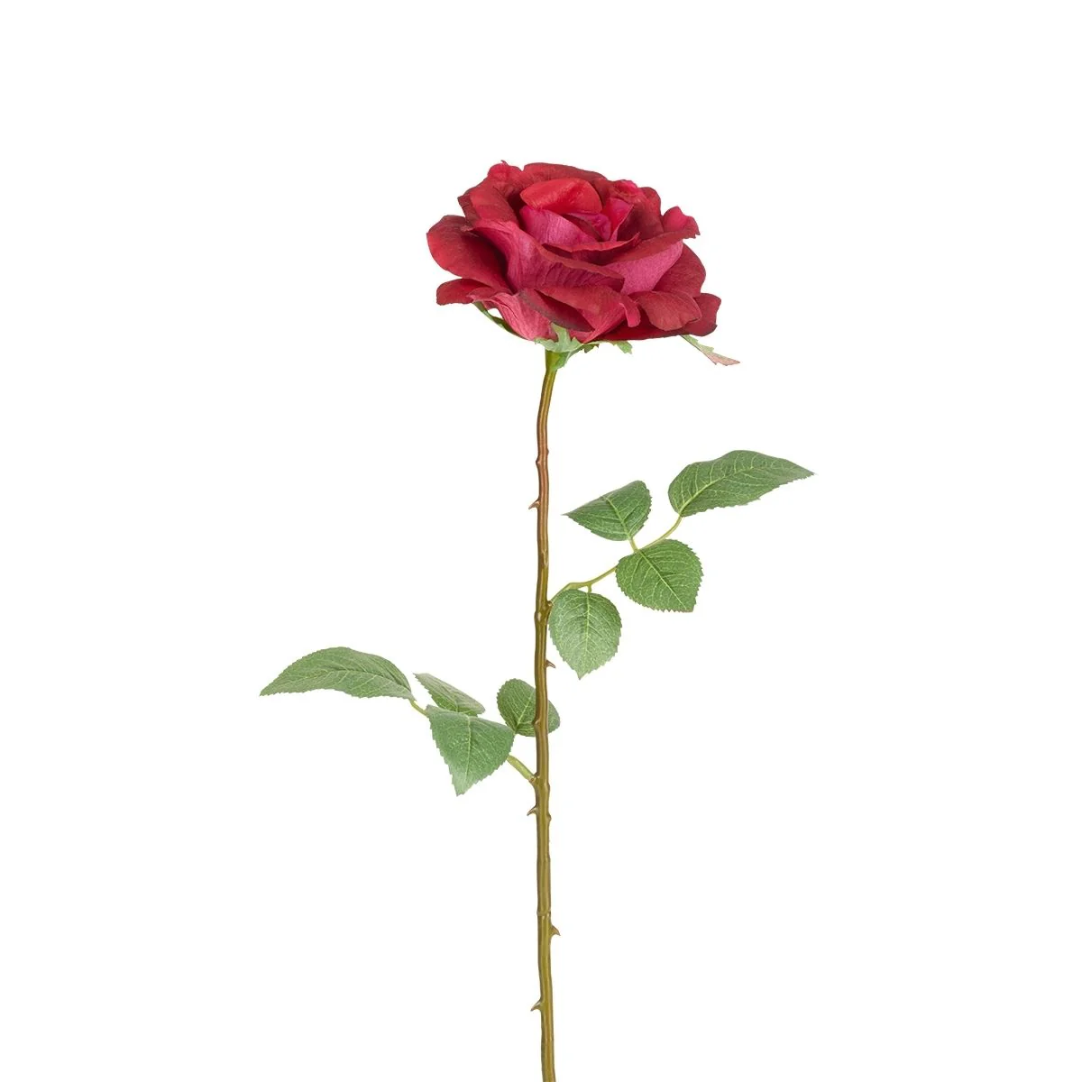 Tige de Rose Sophie fermée - Image 4