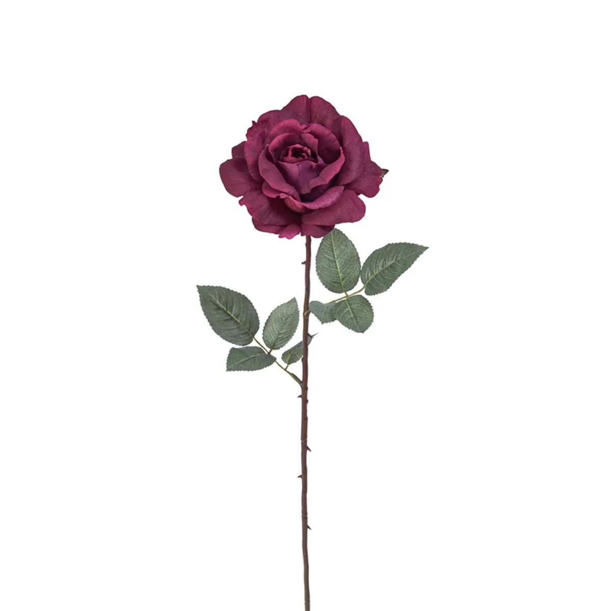 Tige de Rose Sophie fermée - Image 8