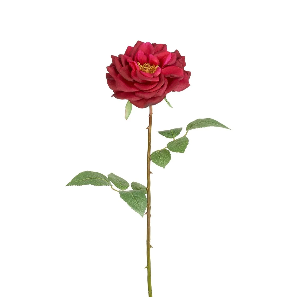 Tige de Rose Sophie ouverte - Image 3